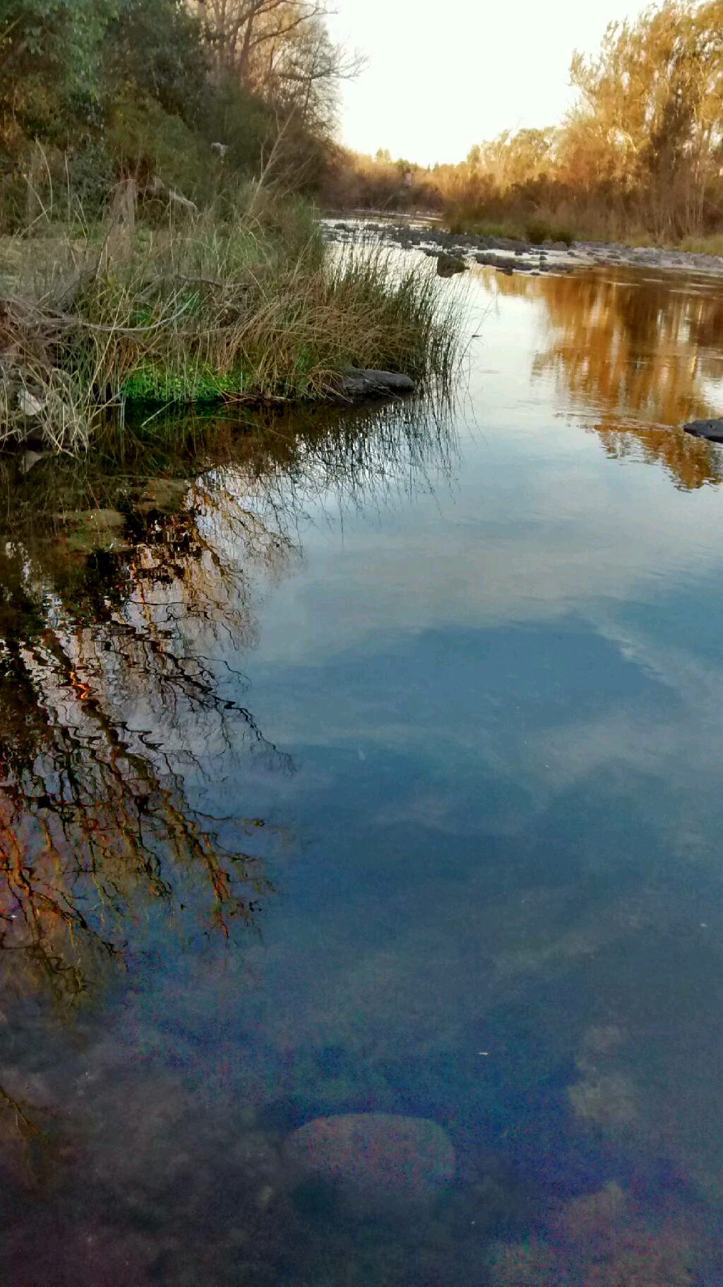 Arroyo los Paredones, por Marisa Jubilea Martinez