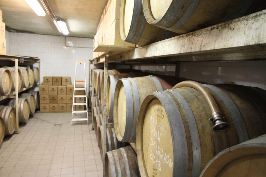 Azienda Montefioralle bodega, por ANADEL