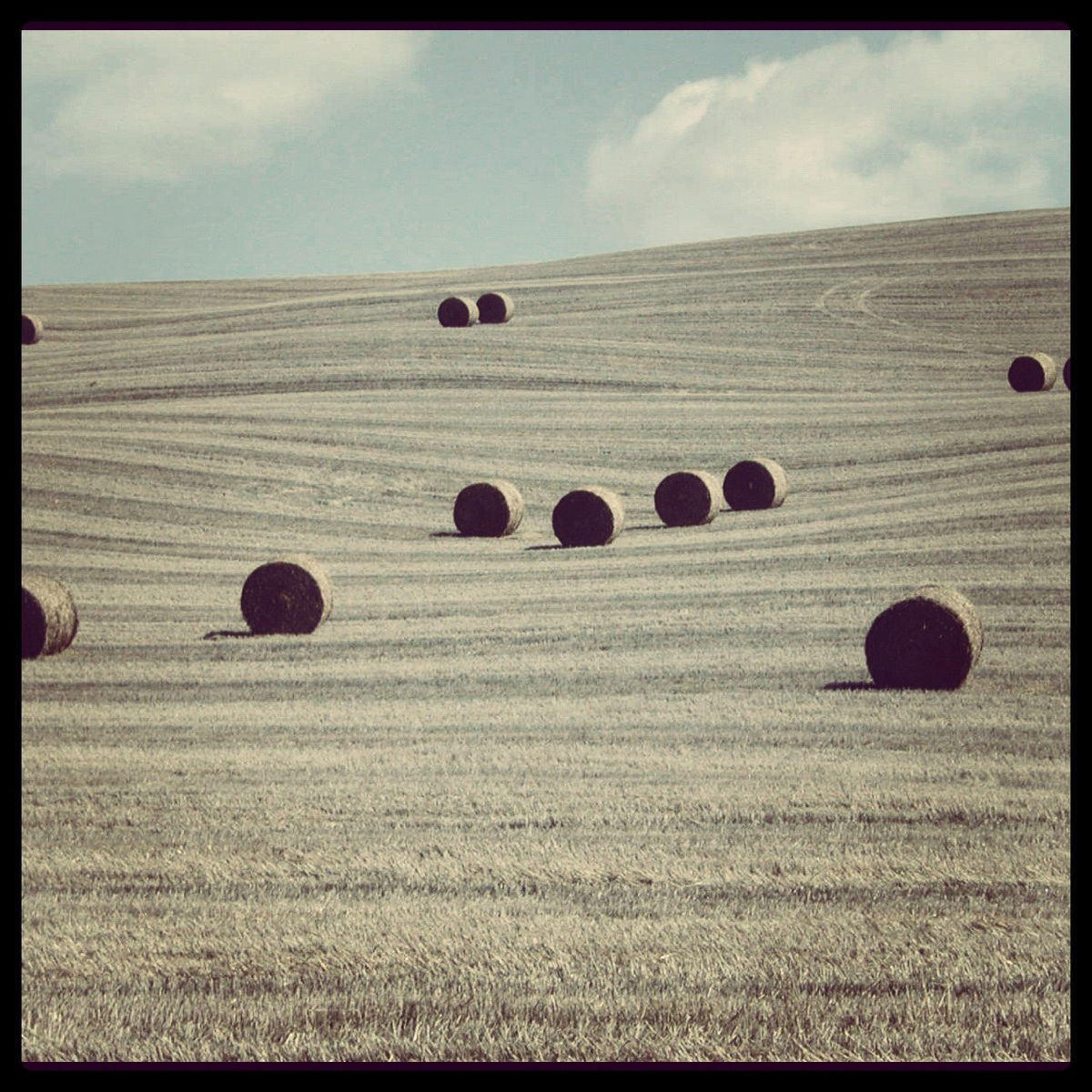 Pienza, por monia