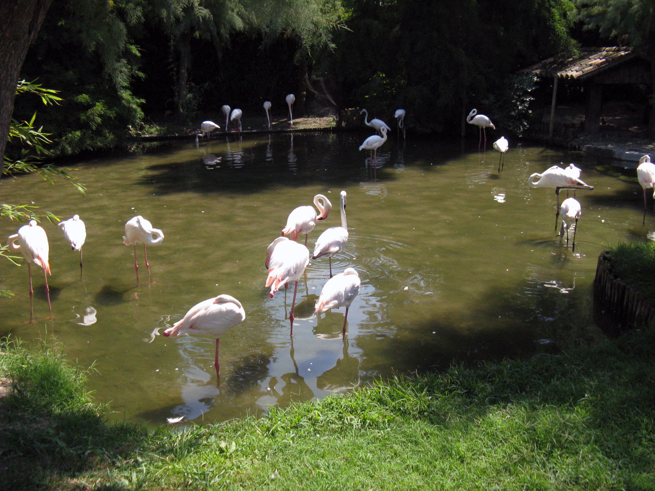 Punta Verde Zoo, por Iuliana Covaliu