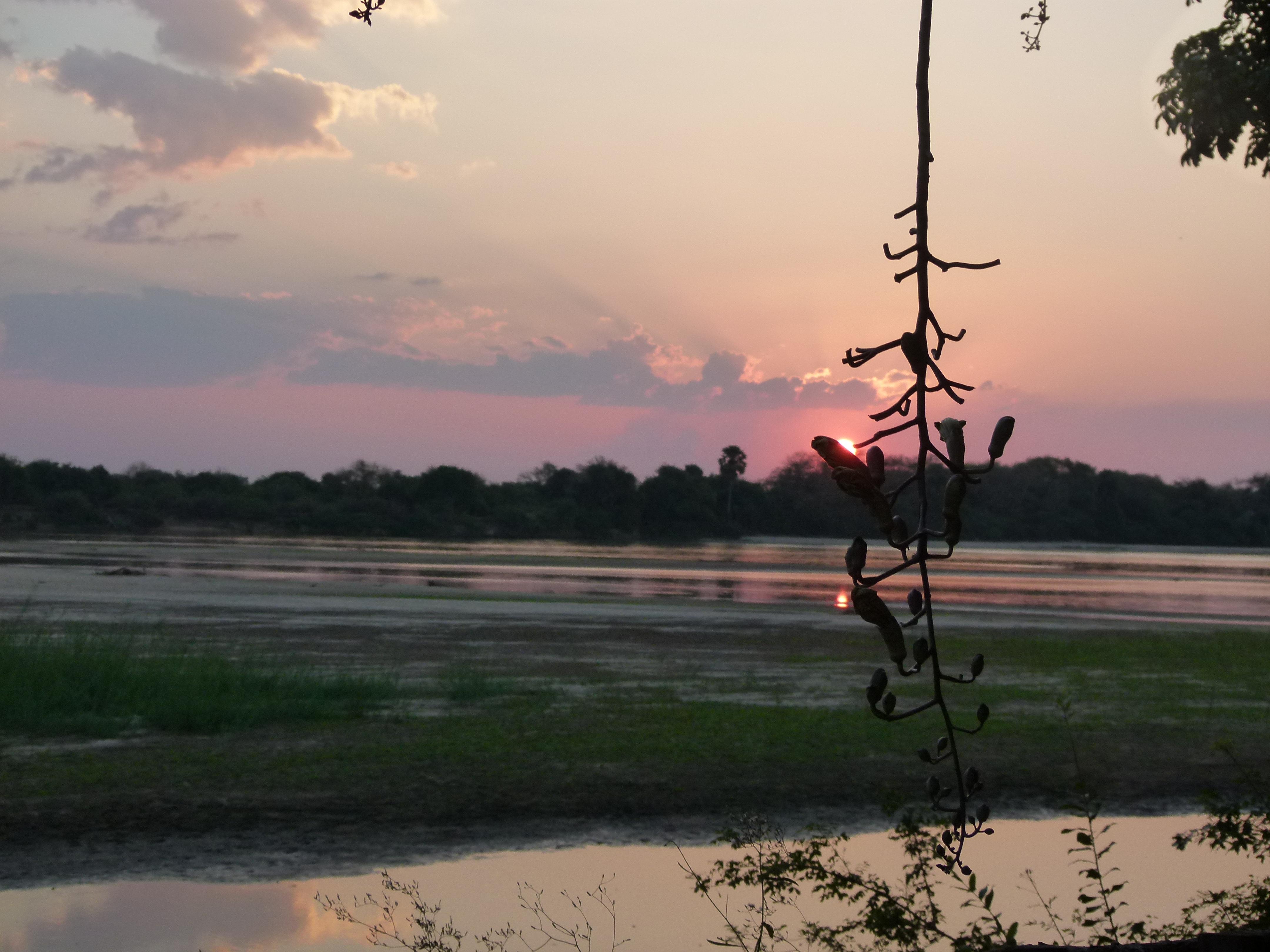 EN MTEMERE....JUNTO AL PARQUE SELOUS., por E.Sonia Requejo Salces