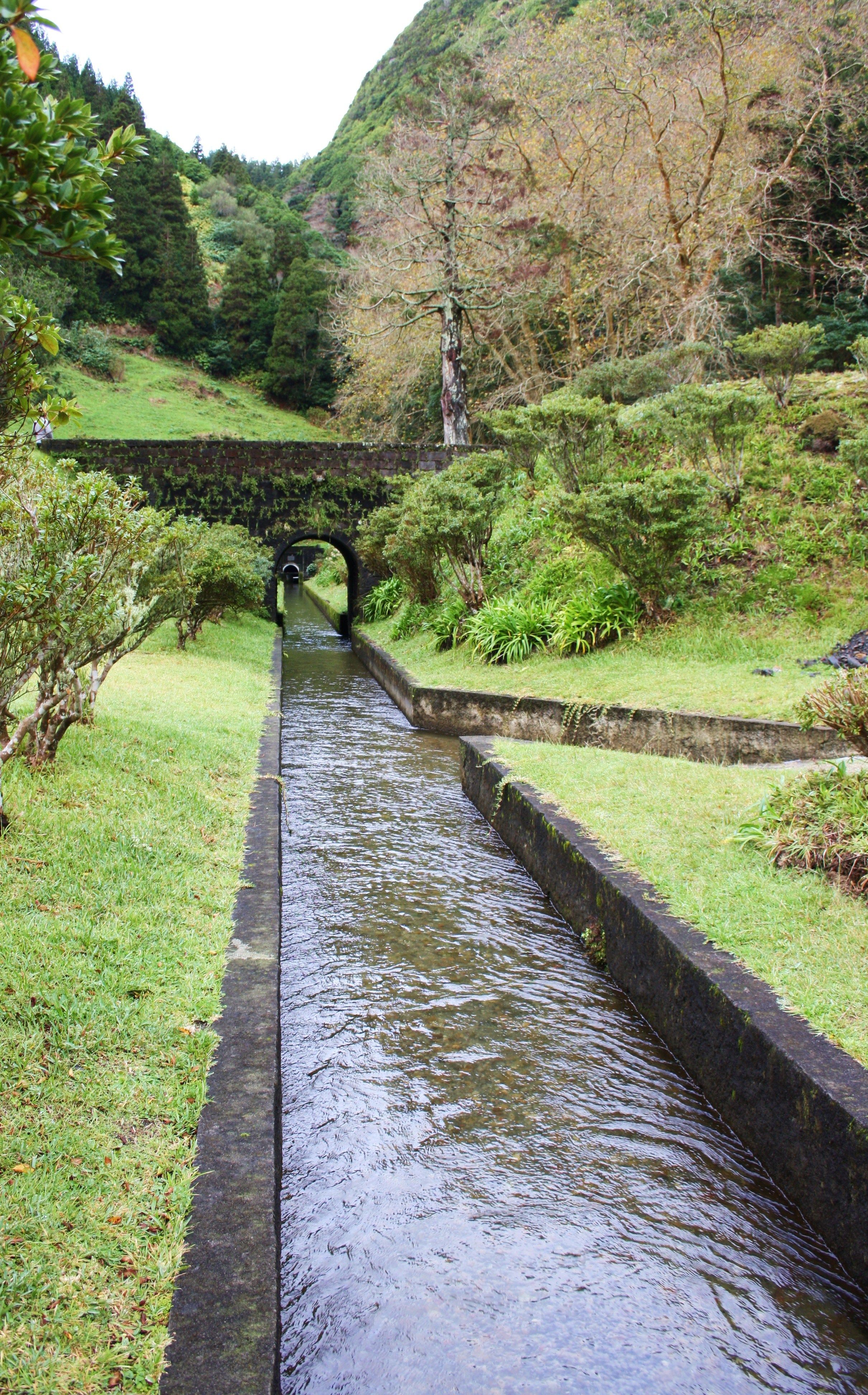 Túnel da Lagoa das Sete Cidades, por Patrícia Veludo