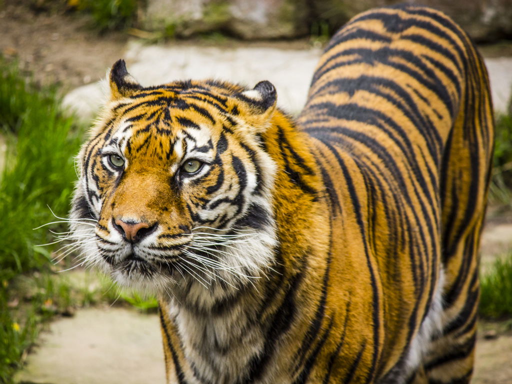 Bioparc Fuengirola, por Urko De Mateo