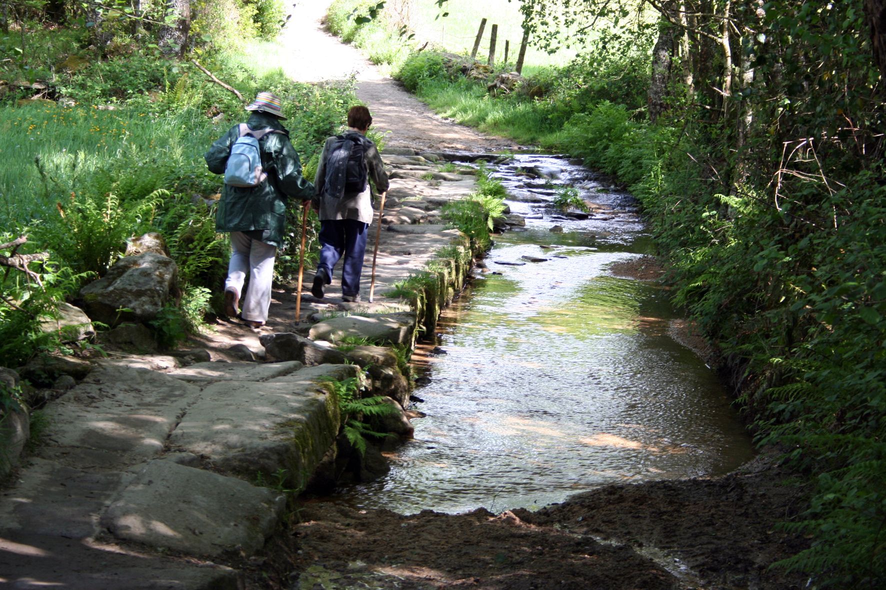 Camino de Santiago. Etapa Sarria-Portomarin, por minoana