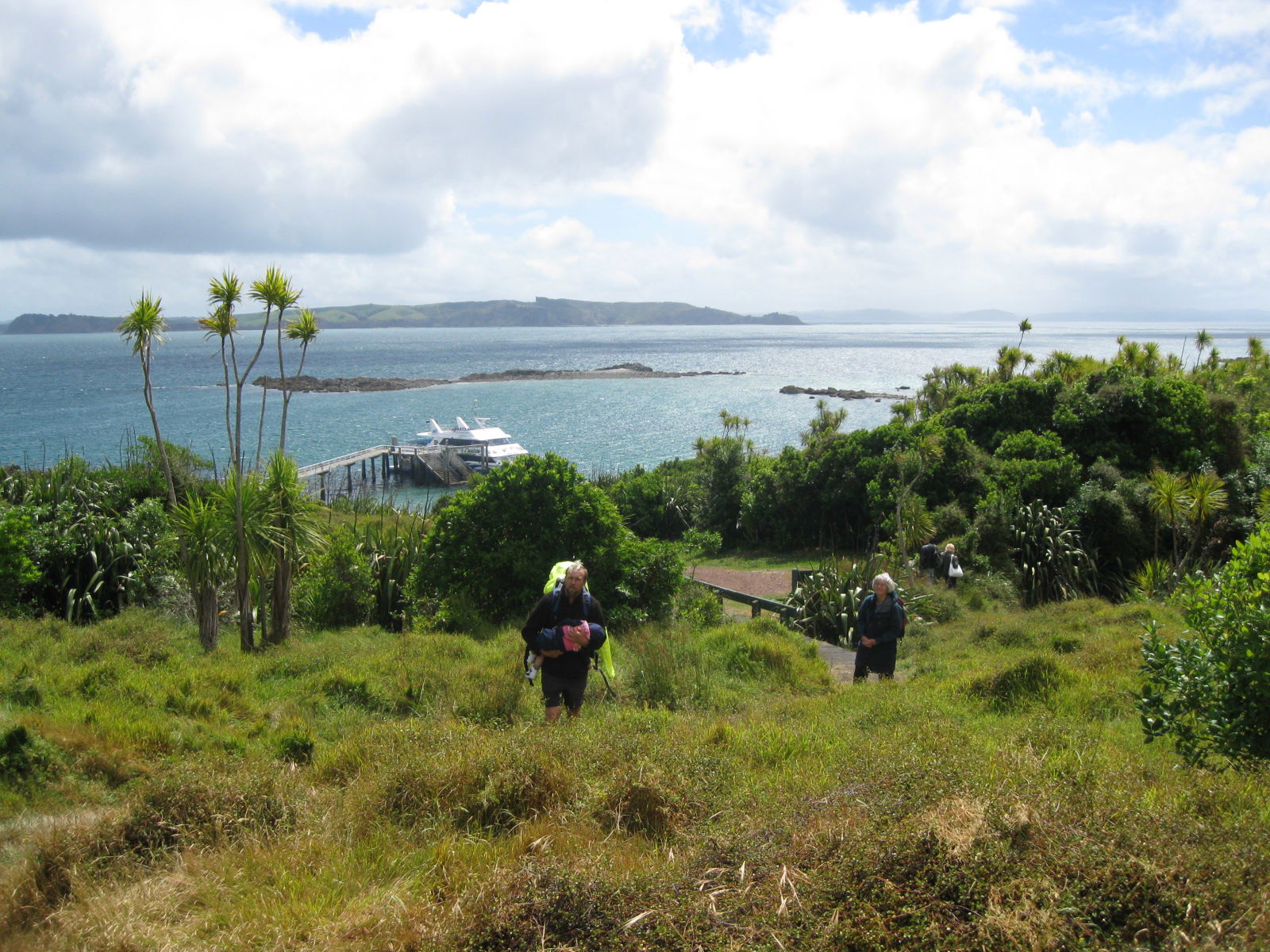 Tiritiri Matangi, por cycle4nature