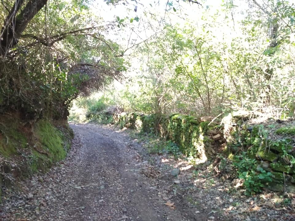 Sendero de Jabugo a Los Romeros, por Lala
