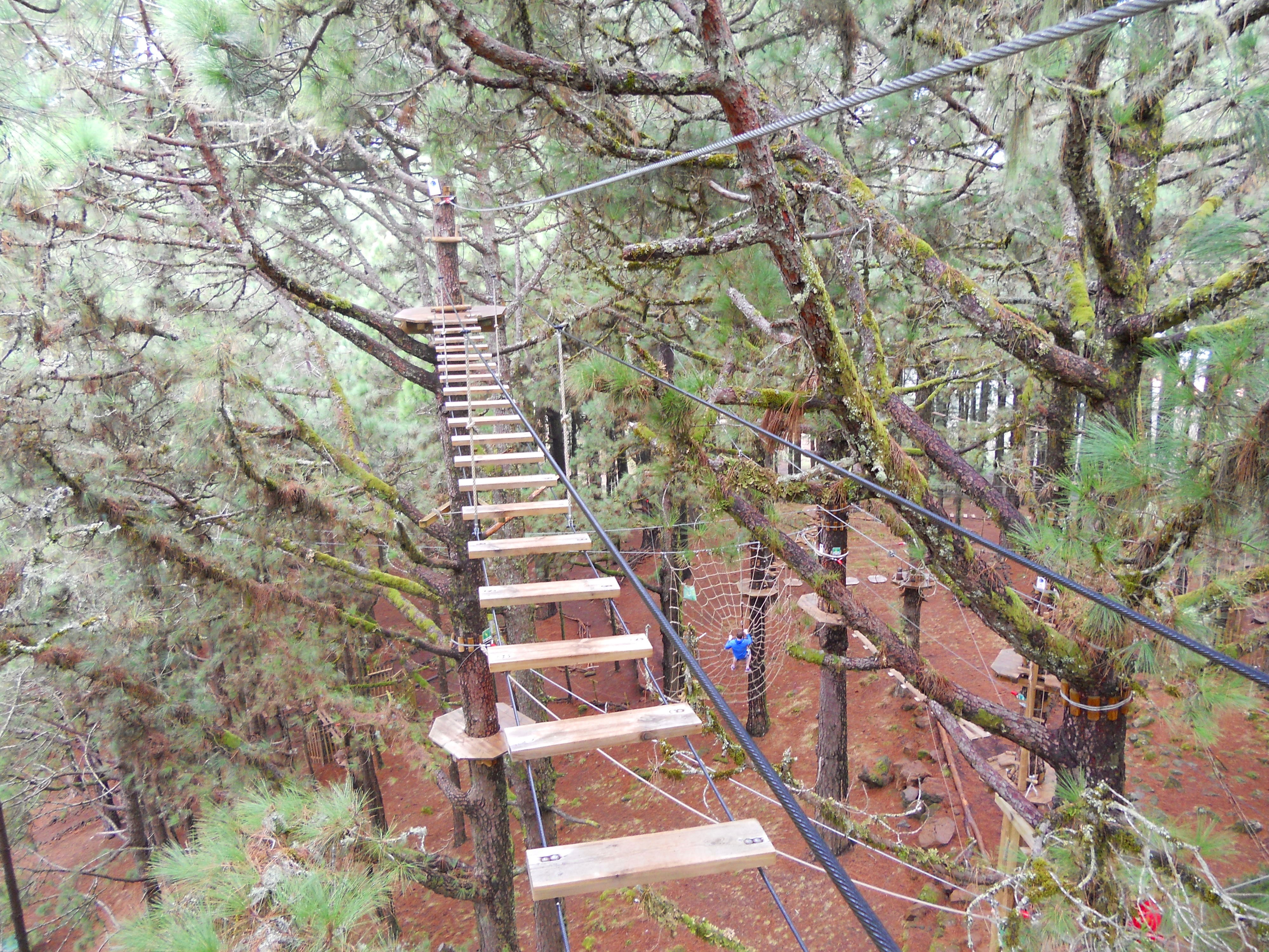 Forestal Park Tenerife, por Roberto Gonzalez