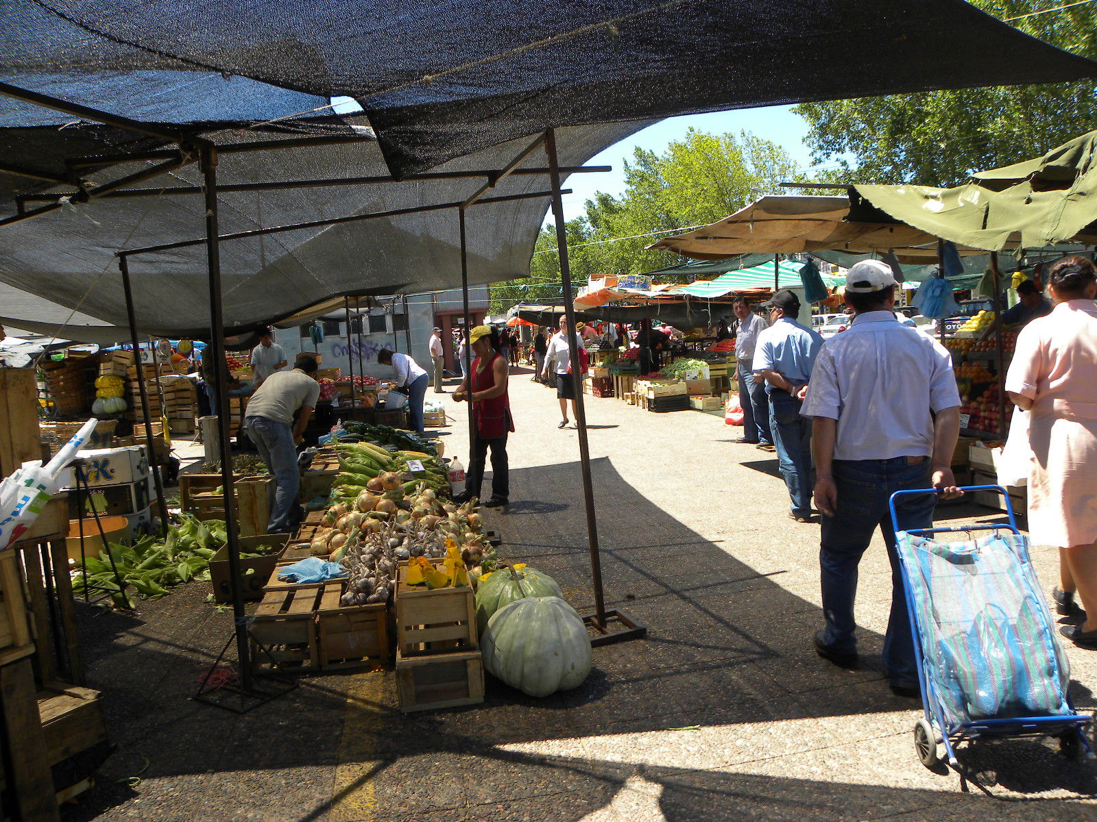 Mercado de Chillan, por ori