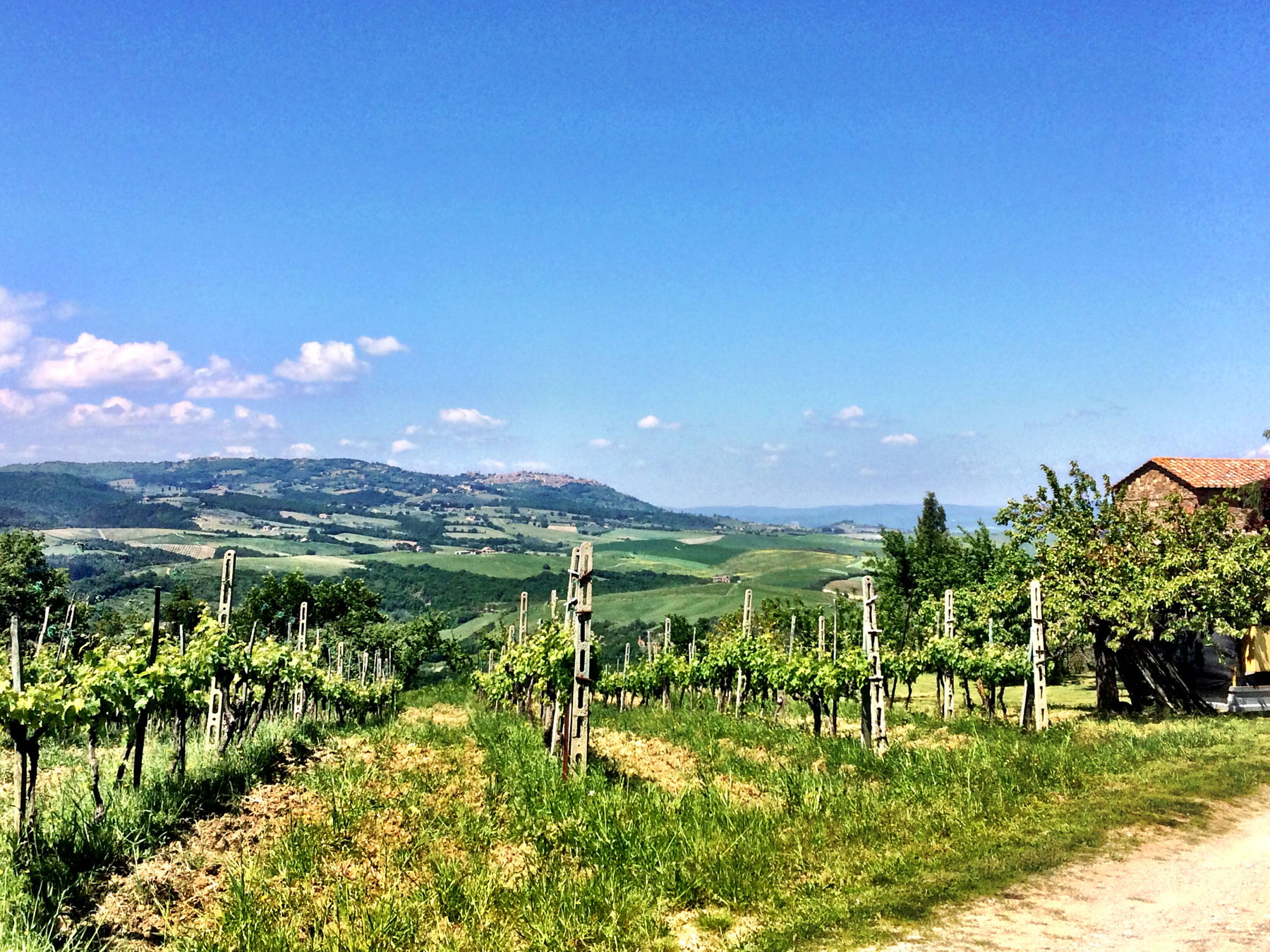 Montalcino, por Maureen Pies