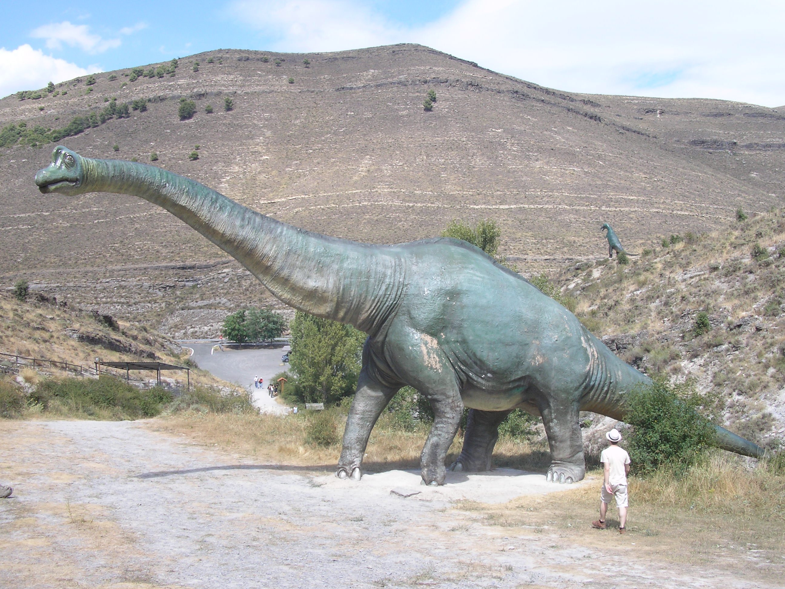 Centro Paleontológico de Enciso en Enciso: 9 opiniones y 44 fotos