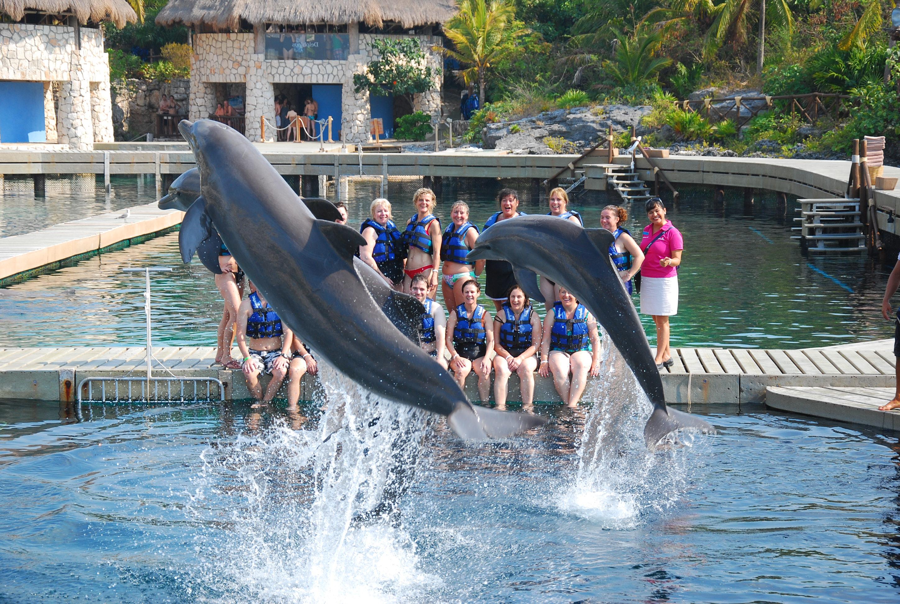 Delphinus Riviera Maya, por Dolphin lover