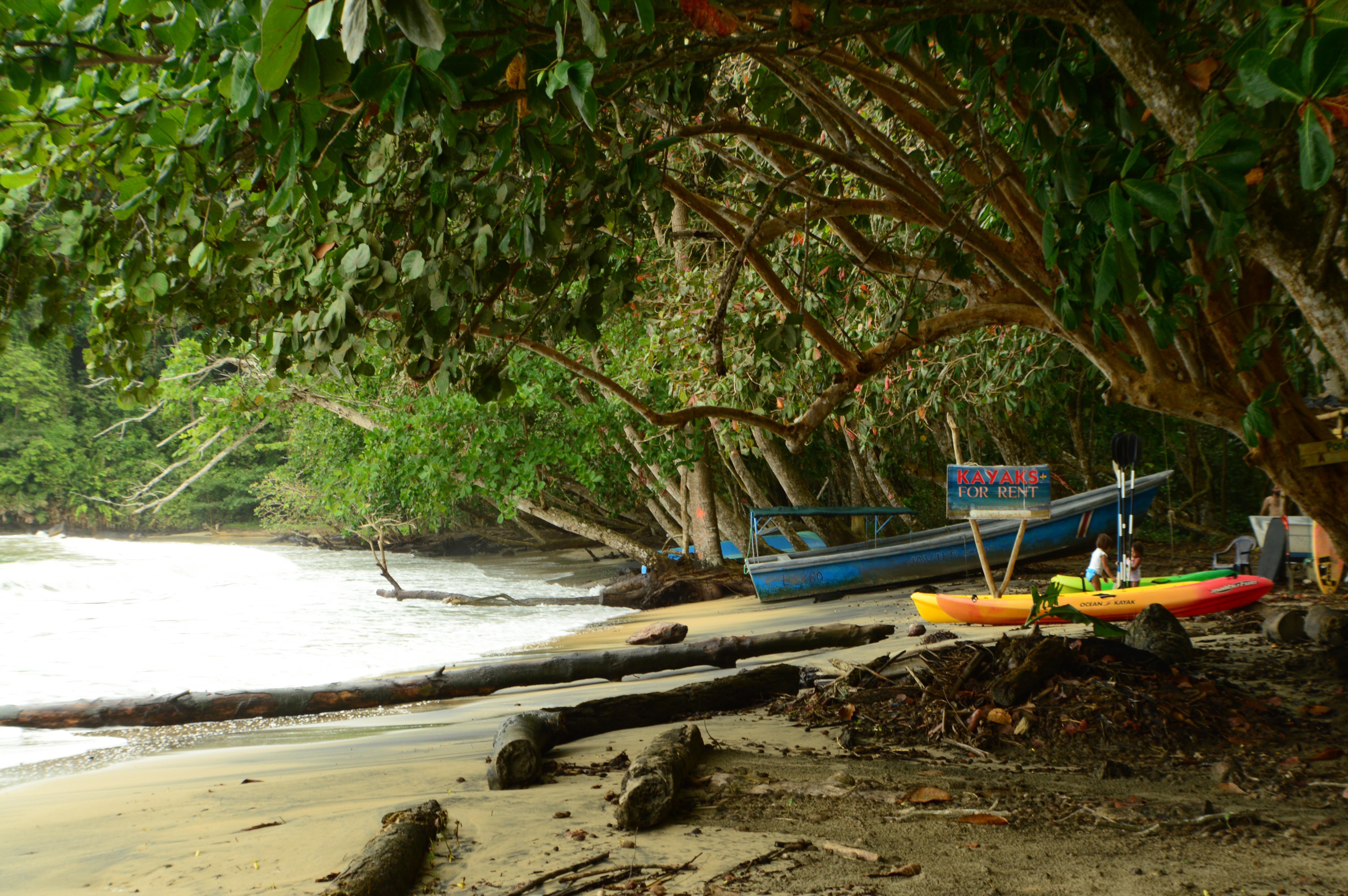 9 increíbles spots de surf en Costa Rica