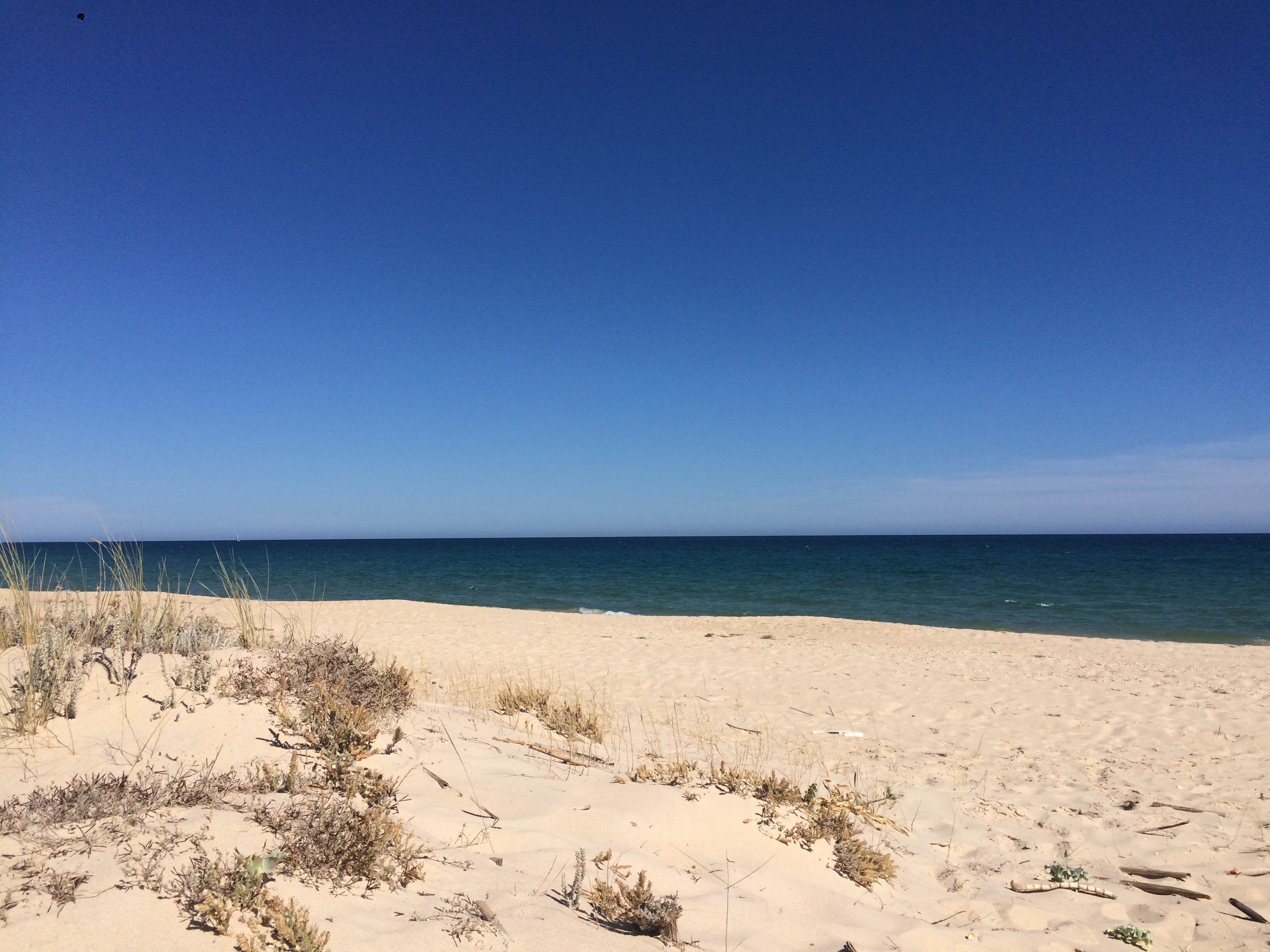 Playas en Tavira: descubre el paraíso escondido del Algarve