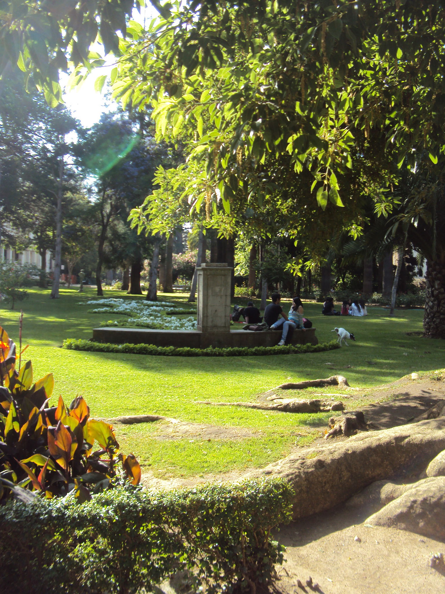 Parque Quinta Vergara, por Ju Afonso