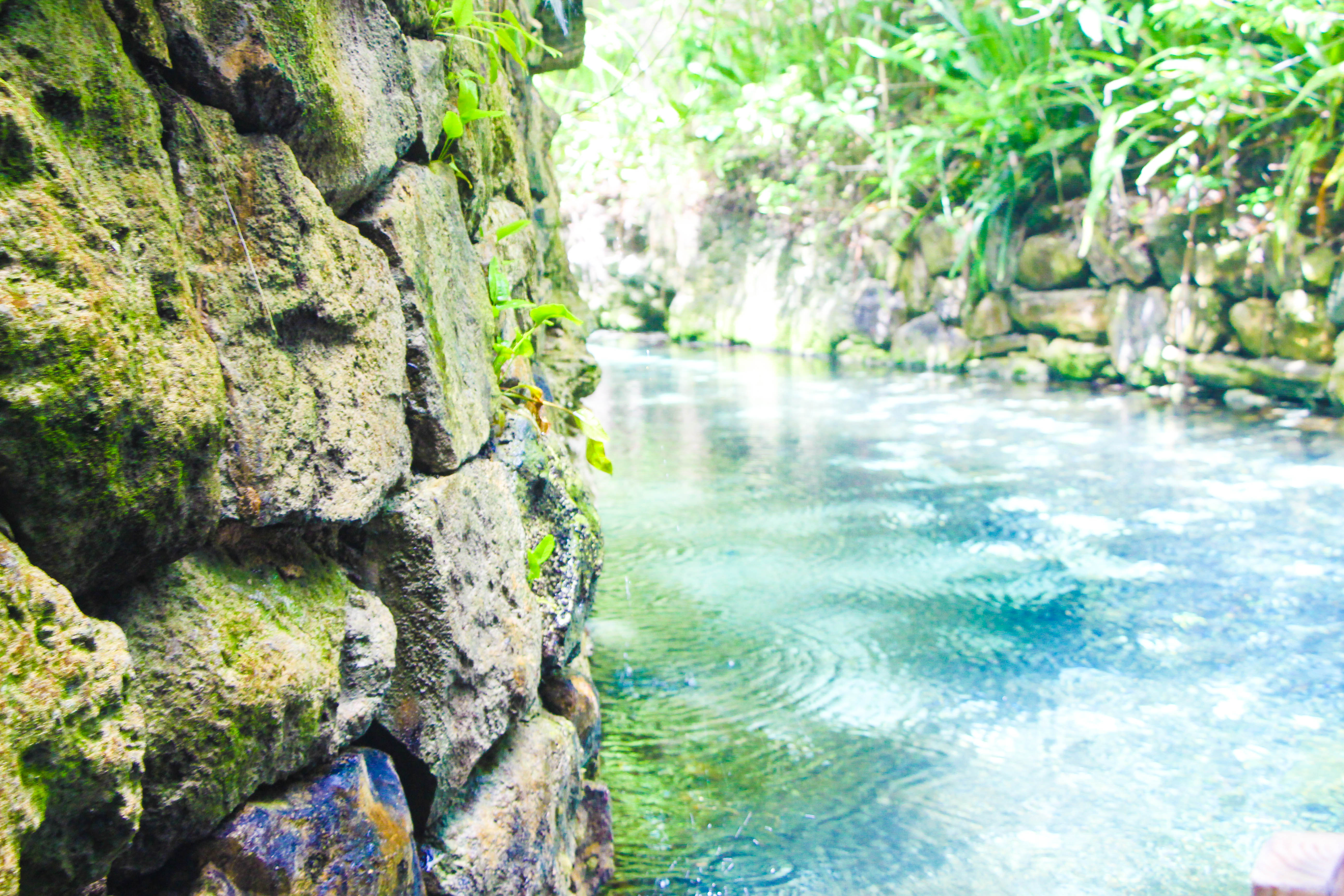 Río Paraiso, por Diana Patricia Montemayor Flores