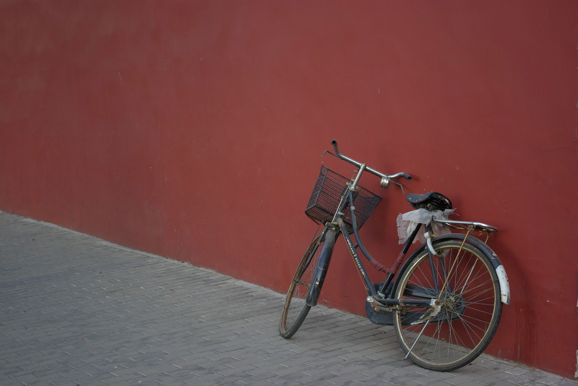 Paseo en bici por Beijing, por Penélope Gamo
