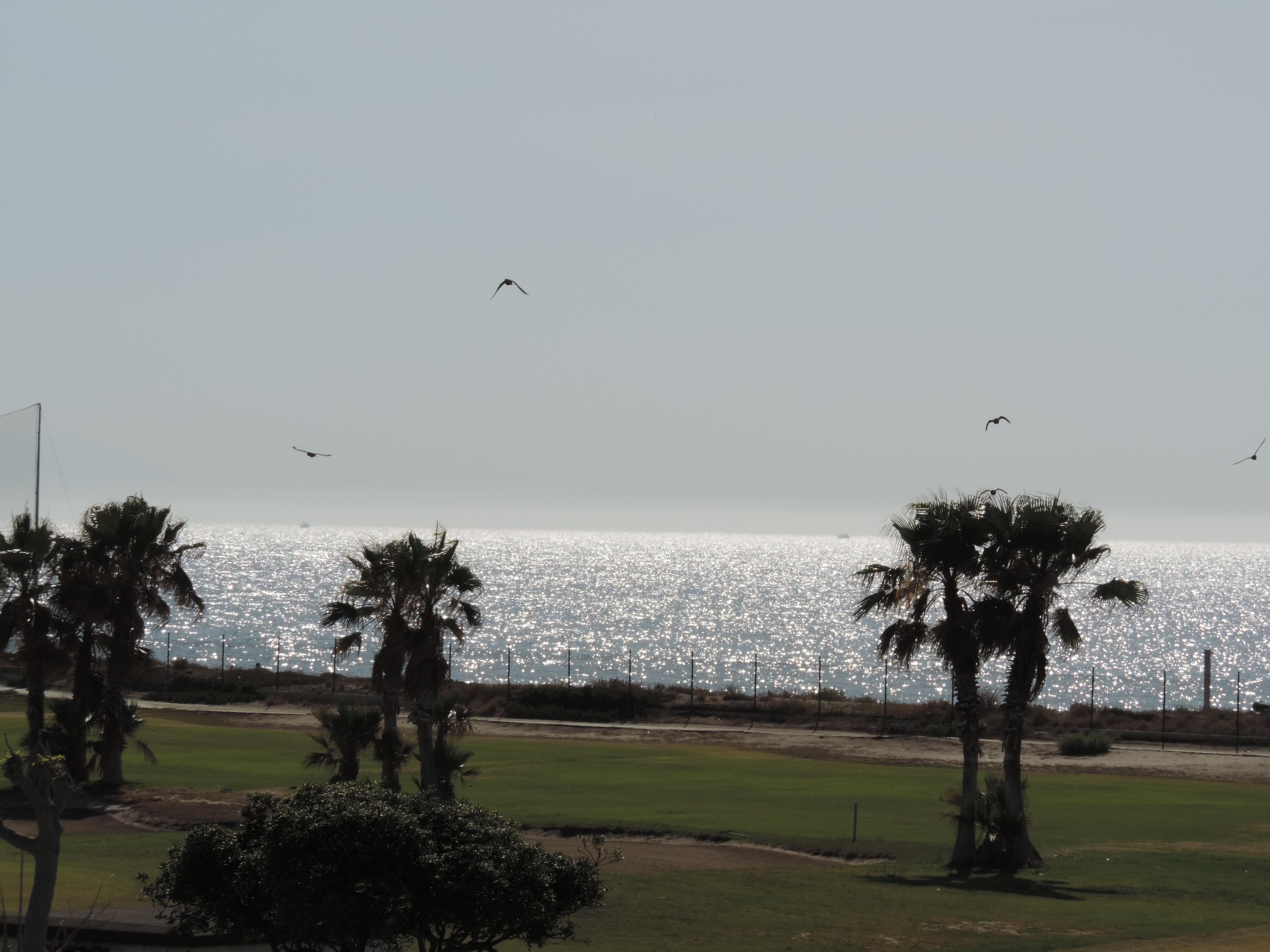 Campos de golf en las costas de España para disfrutar y jugar con estilo