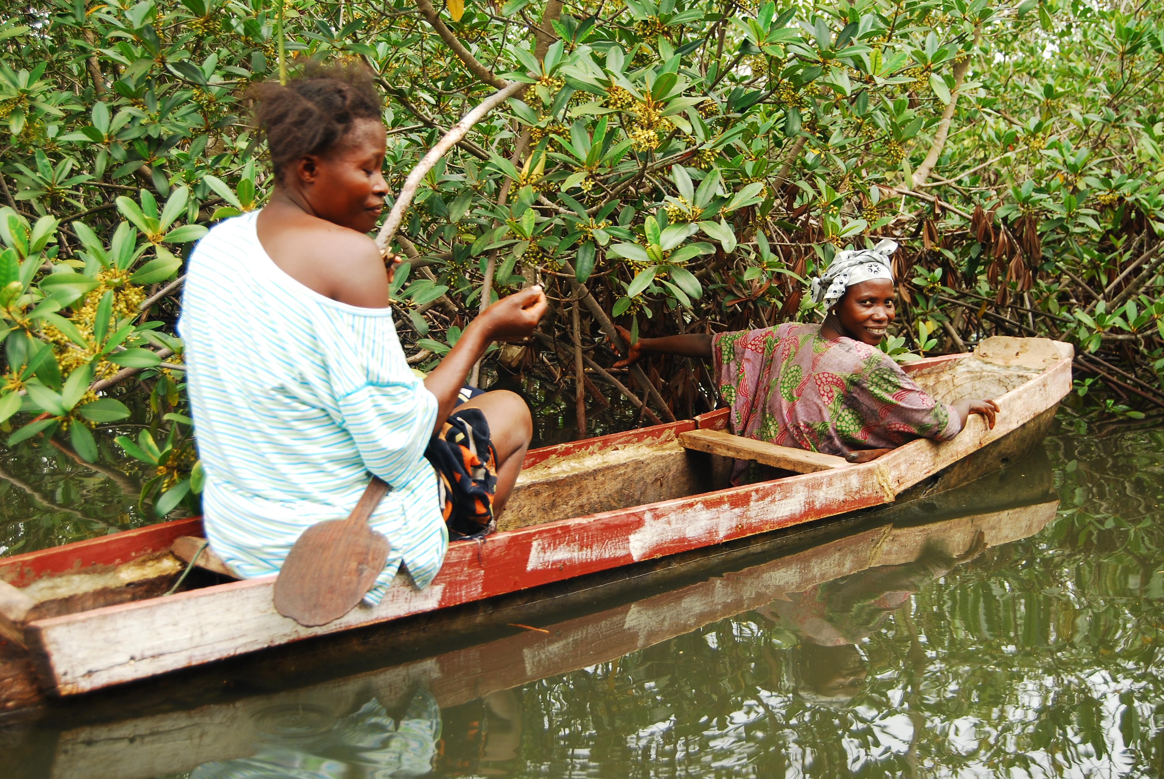 Aire libre en Gambia, un rincón para explorar la naturaleza salvaje