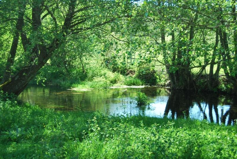 Bosque De Robles ¡el BARDAL !, por Canchales Apartamentos