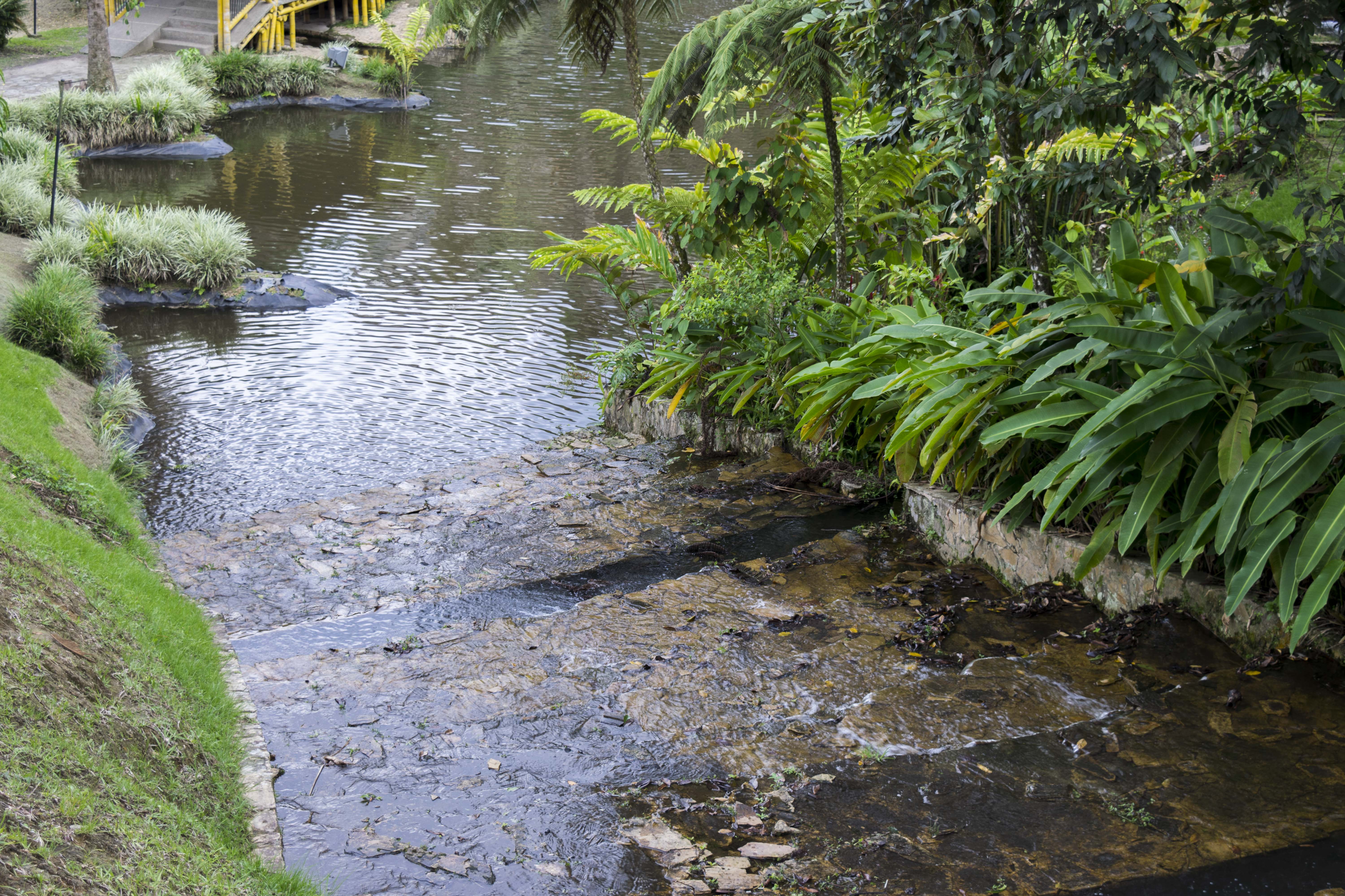 Aire libre en Quindío: descubre la naturaleza y aventura sin límites