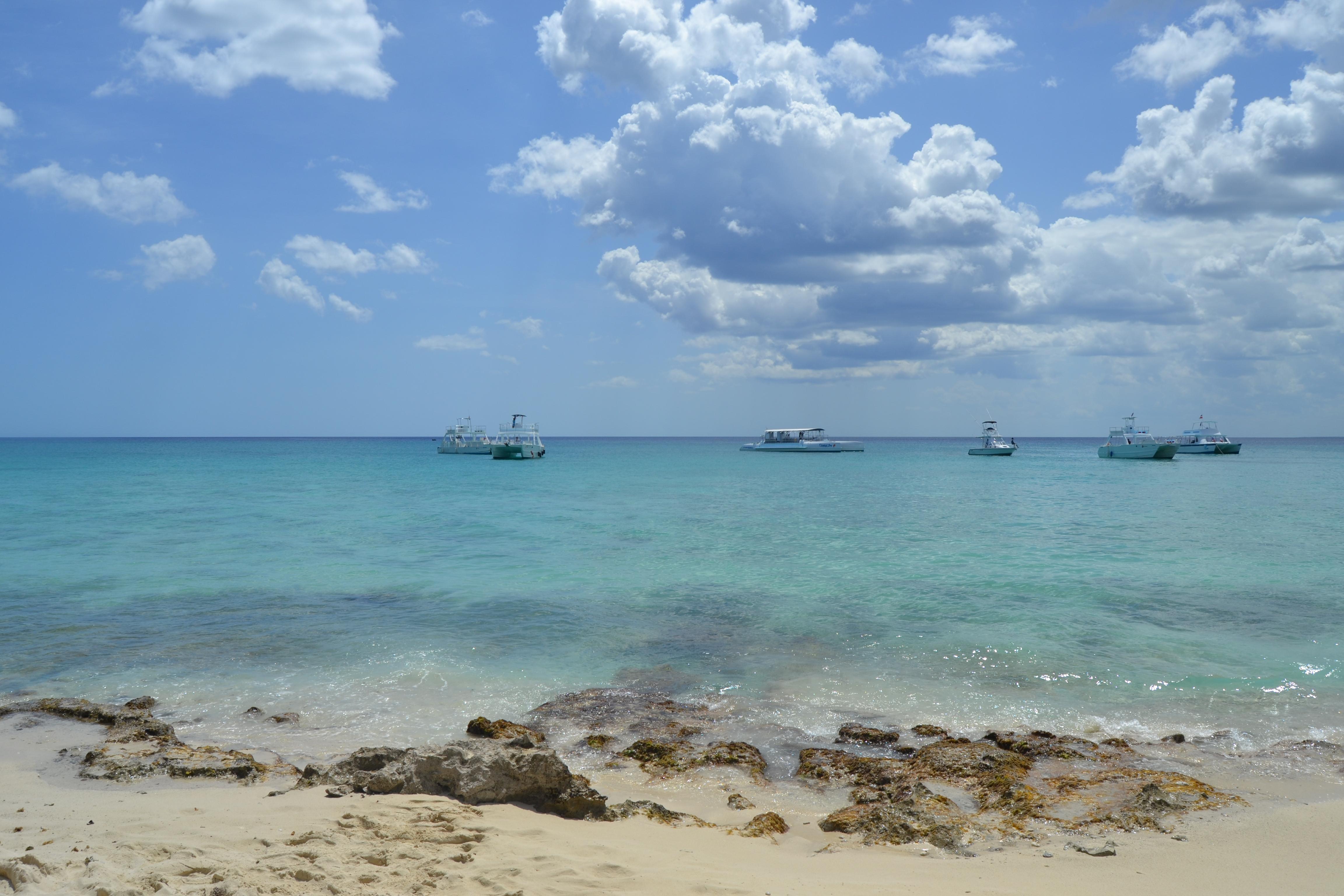 Excursión Isla Catalina