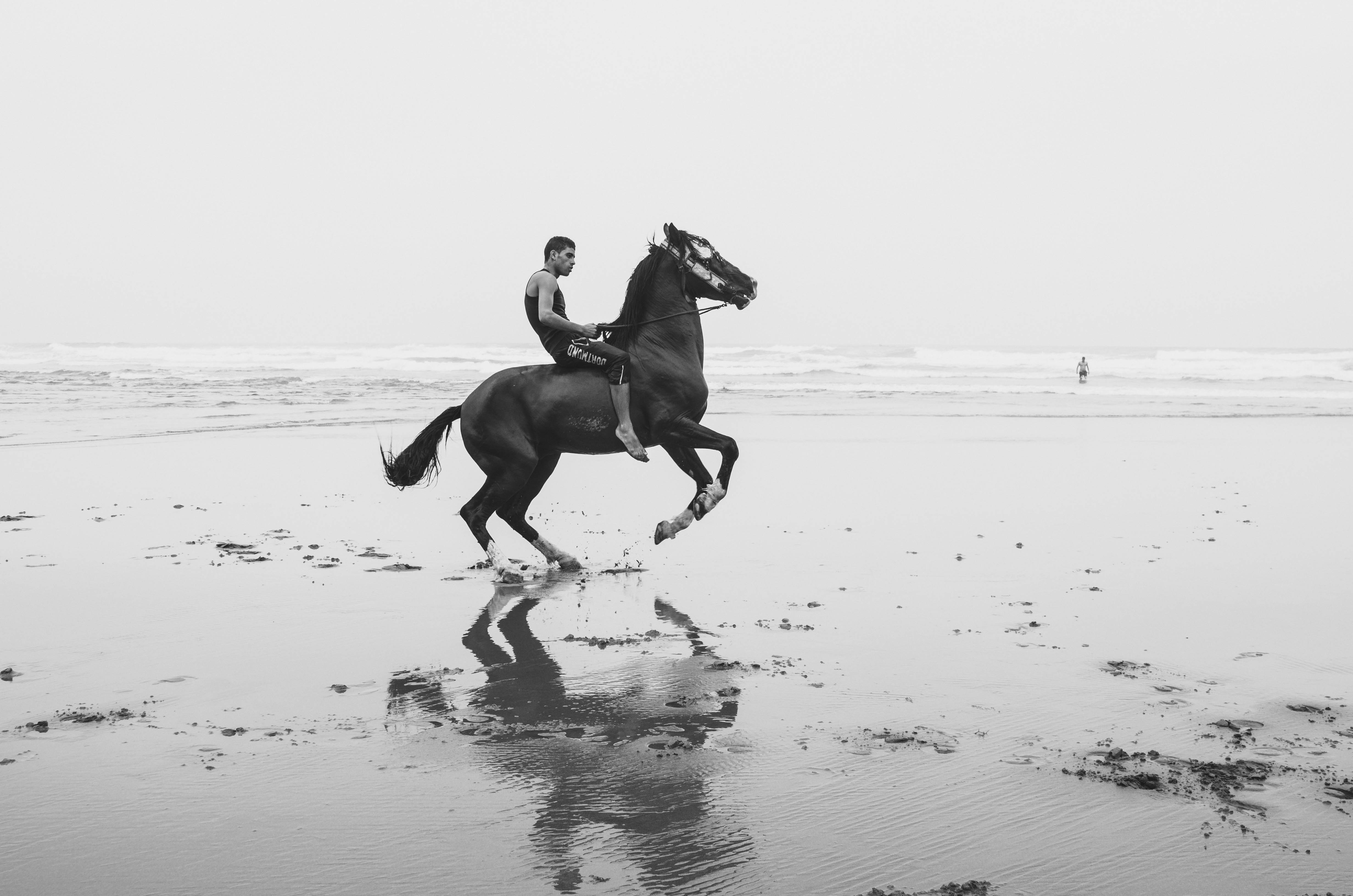 Playas de Souss Massa-Draâ: un viaje por la costa mágica de Marruecos