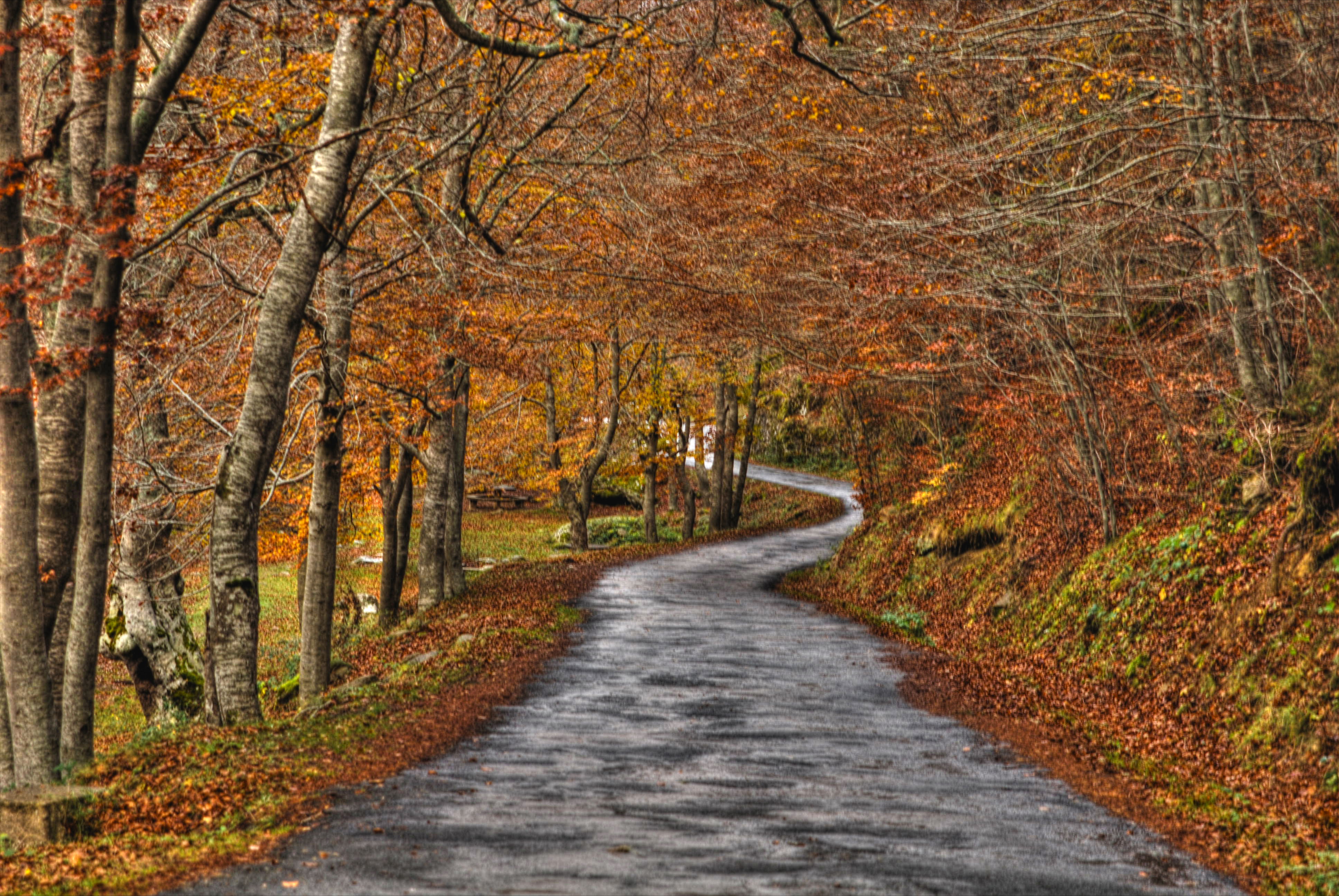 Parque Natural de Sierra de Cebollera, por Snows Snowis