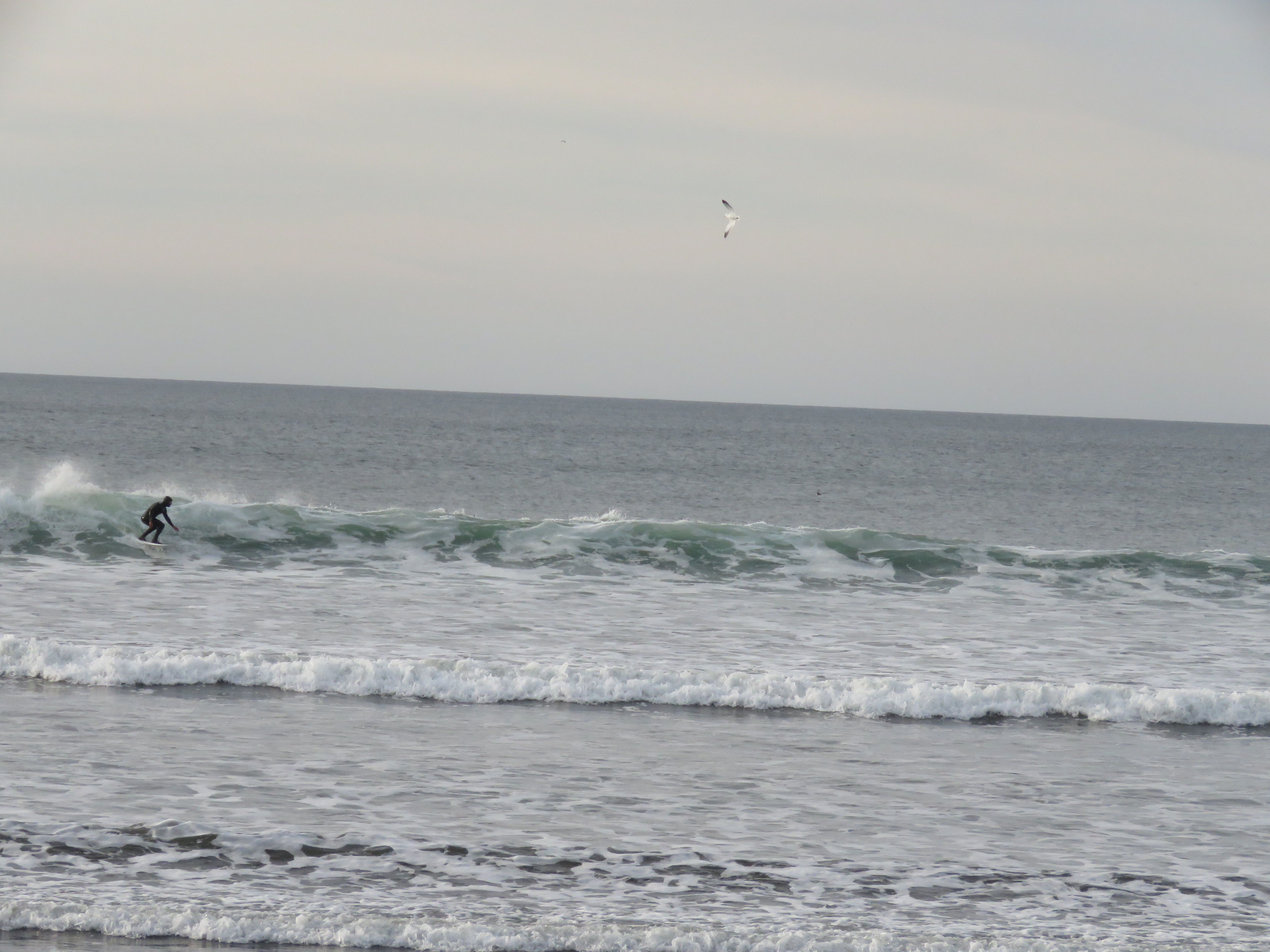 Playa de Arauco, por Enzo Navarrete Sanhueza
