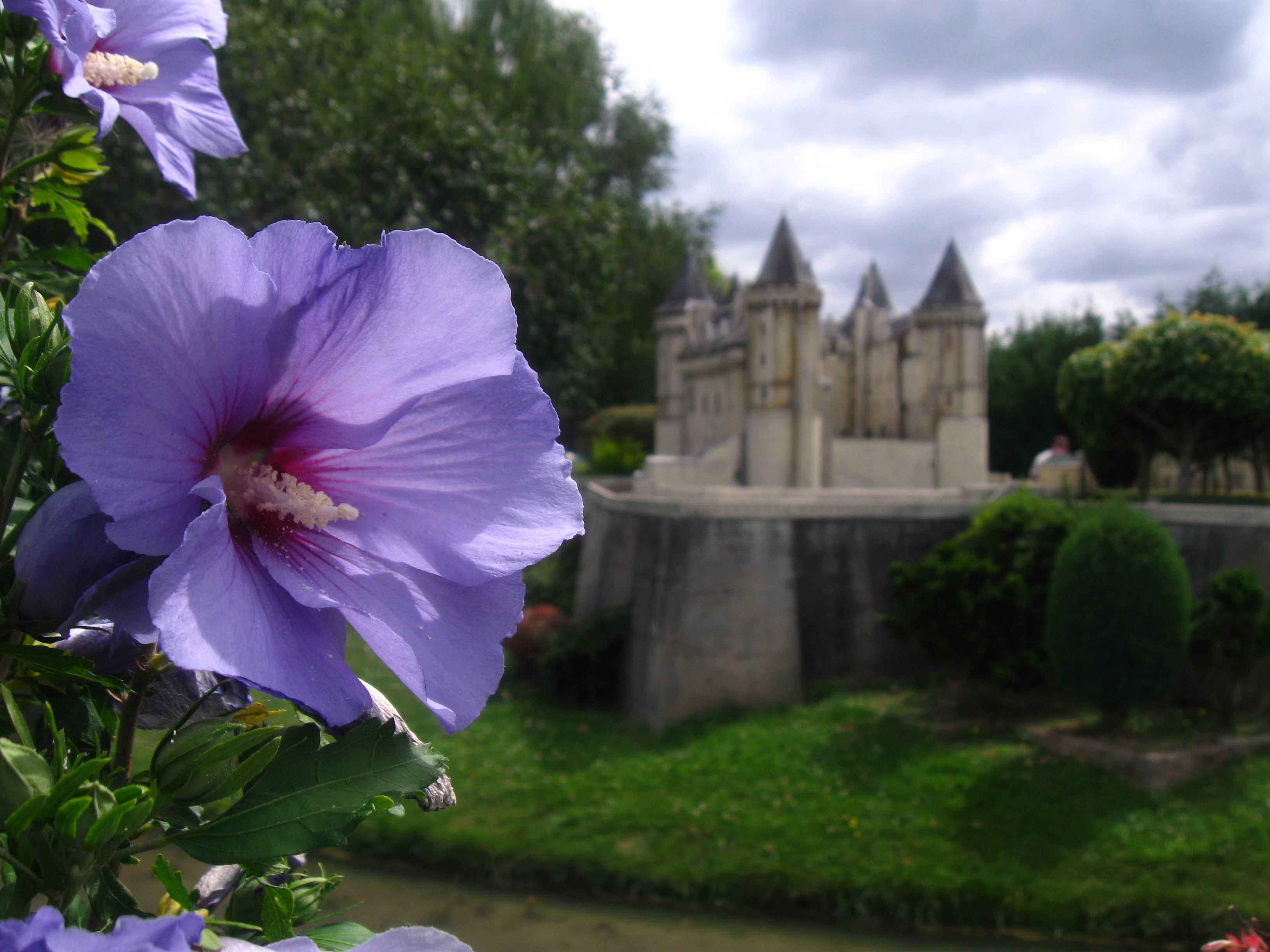 Mini chateau, por Andonii Sarabiia