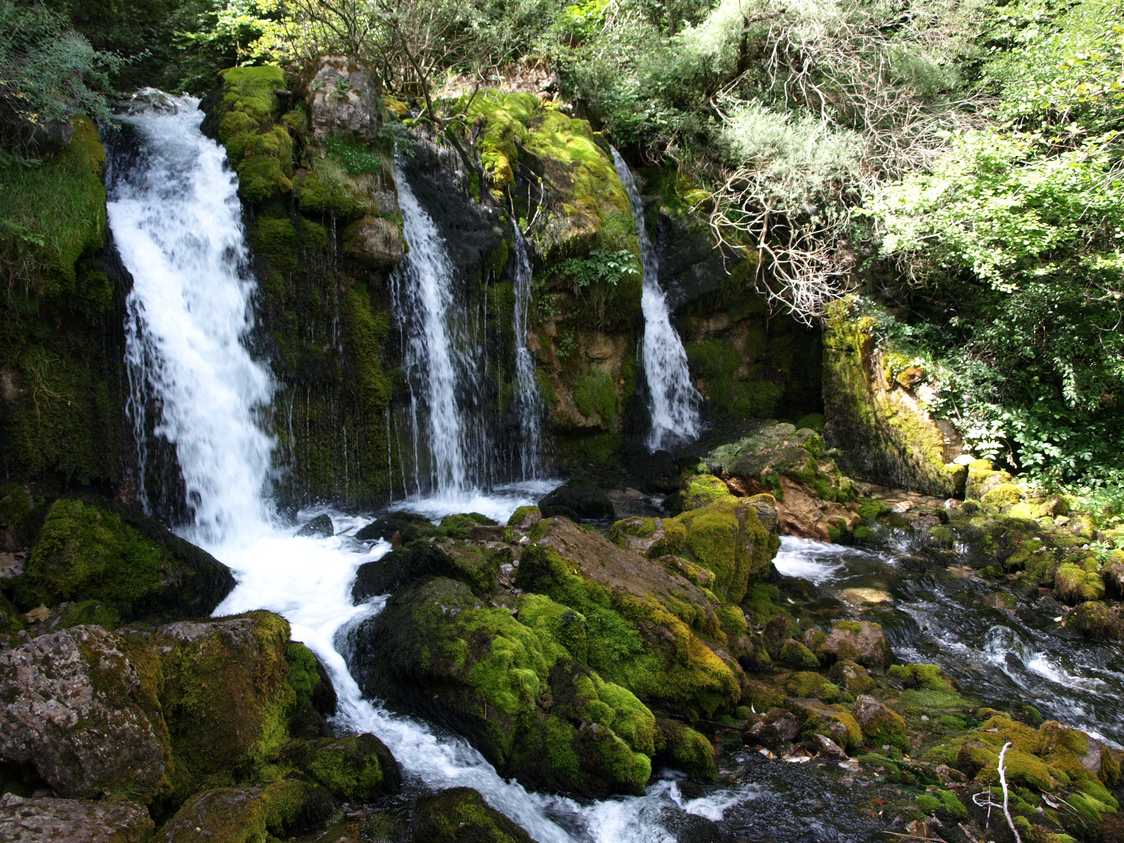 Font de l'Adou, por car_naive
