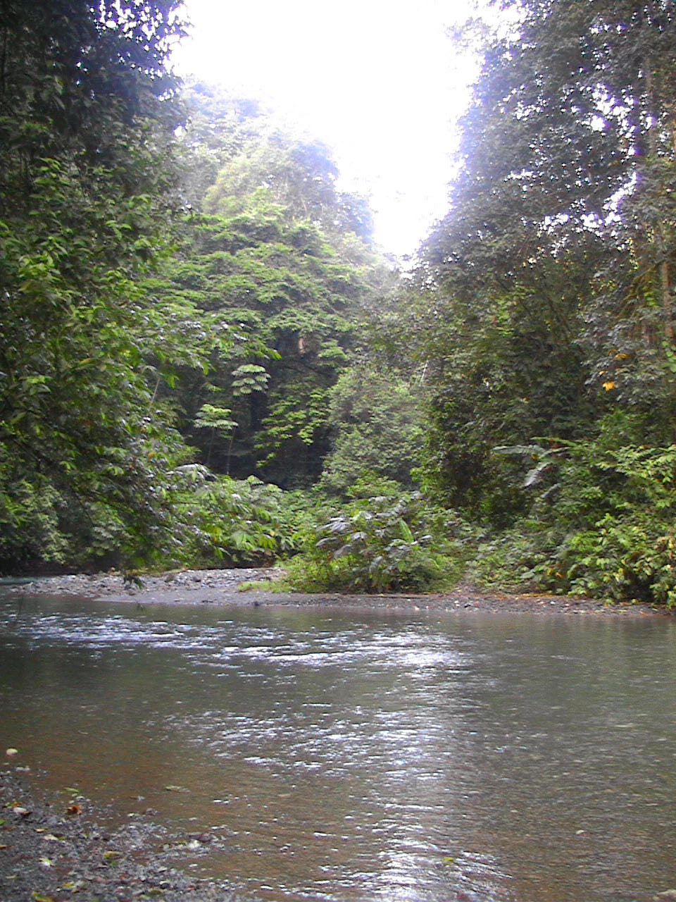 Parque Nacional Noel Kempff Mercado, por mathilde