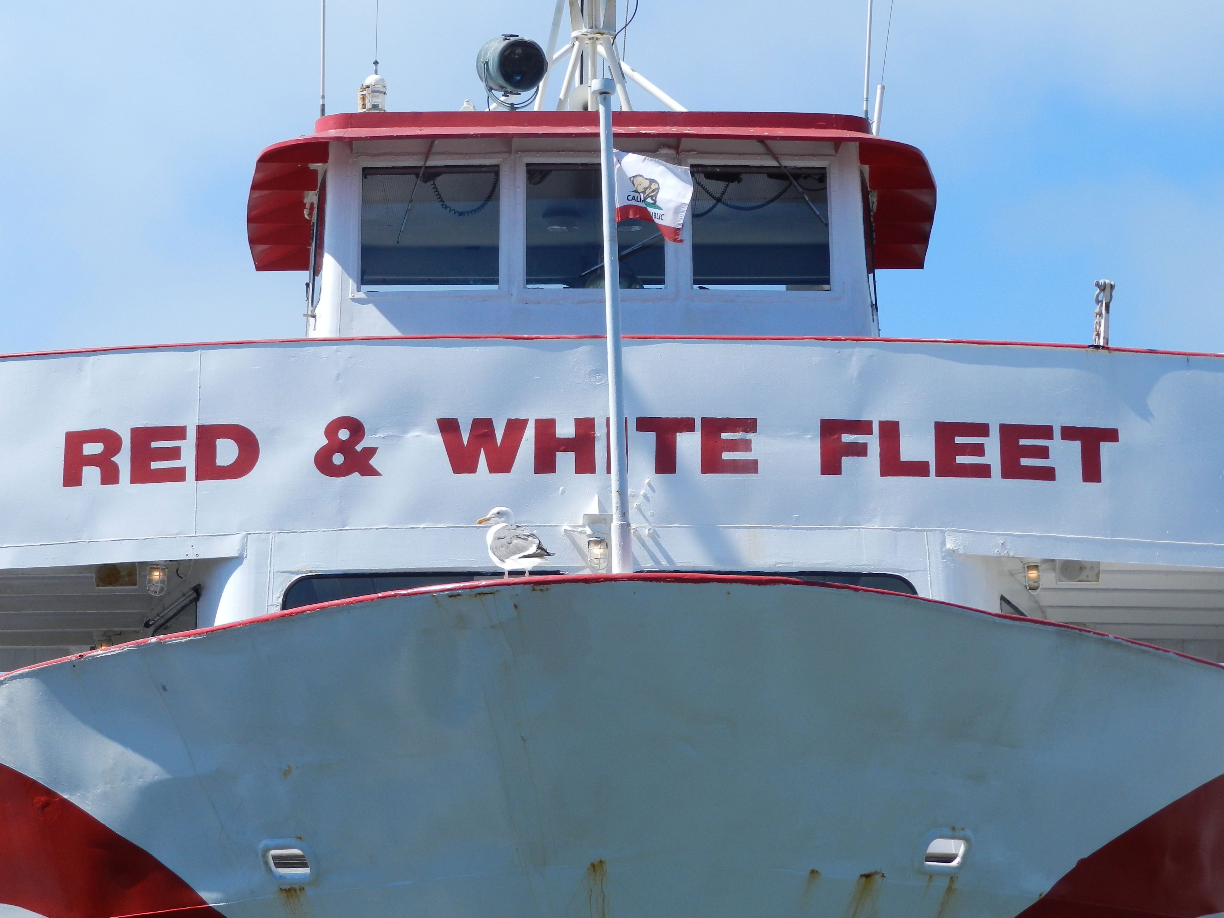 Red and White Fleet, por TiffG