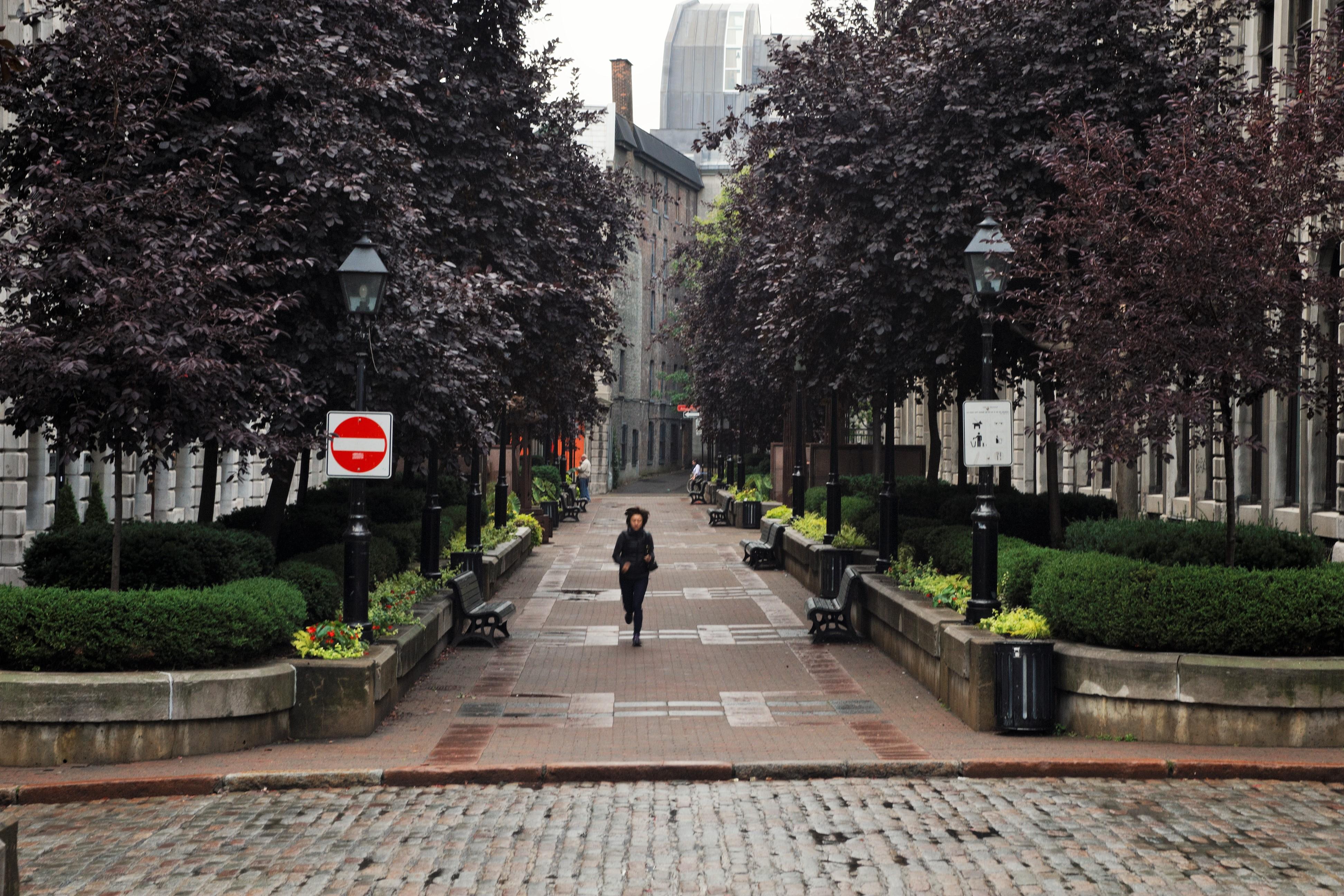 Calles en Montreal que te invitan a descubrir su encanto único