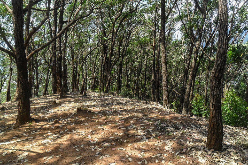 Morro do Anhanguera, por Bruno Martins