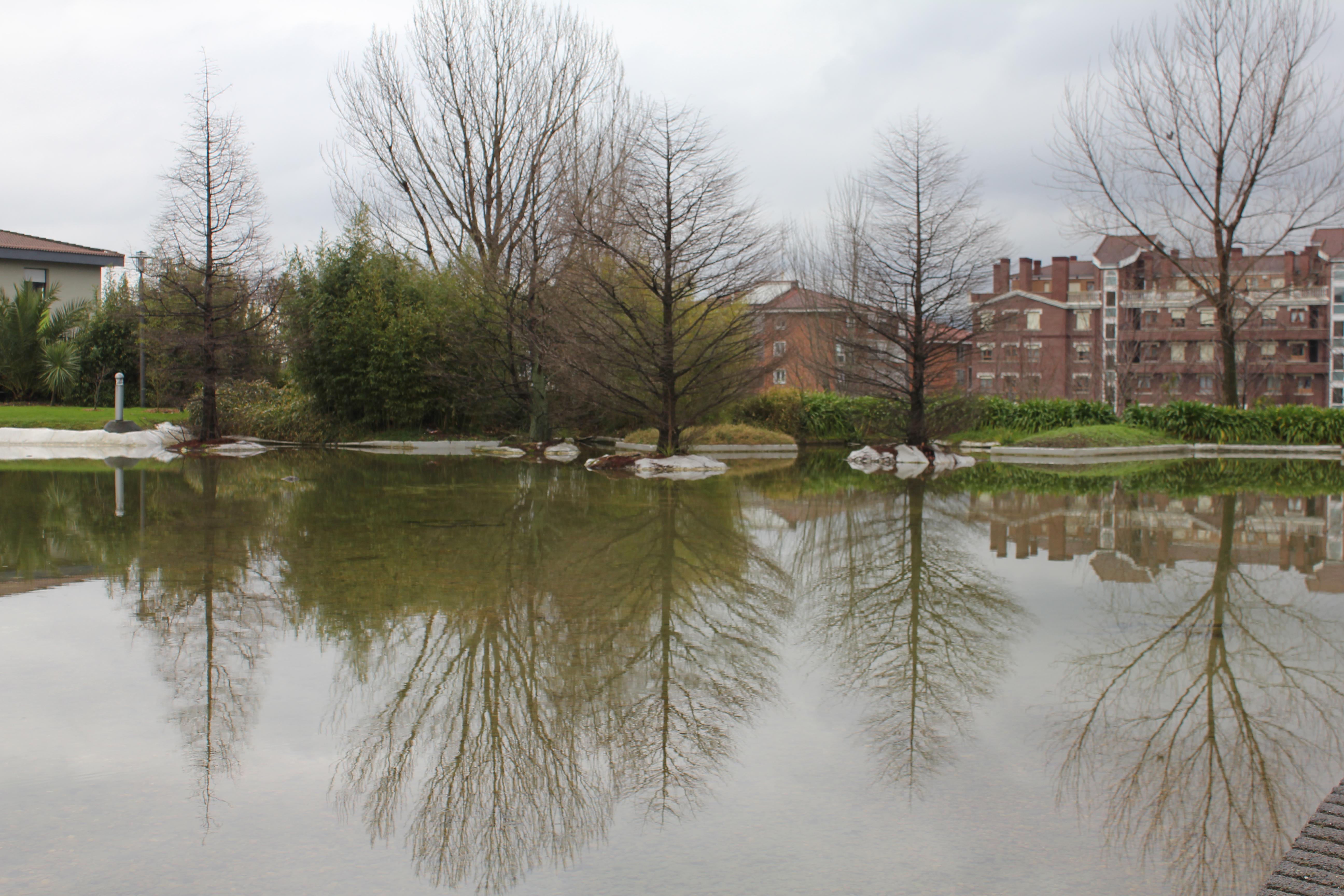 Parque botánico Ramón Rubial, por María José Rodrigo Hernández