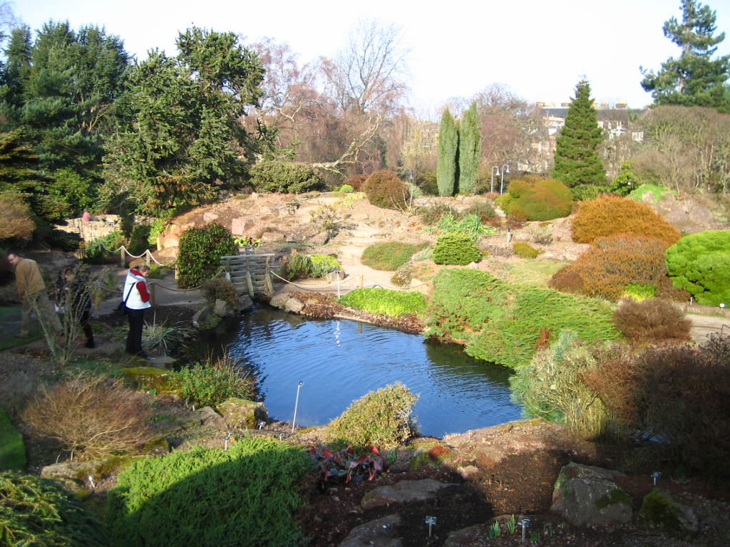 Real Jardín Botánico, por guanche