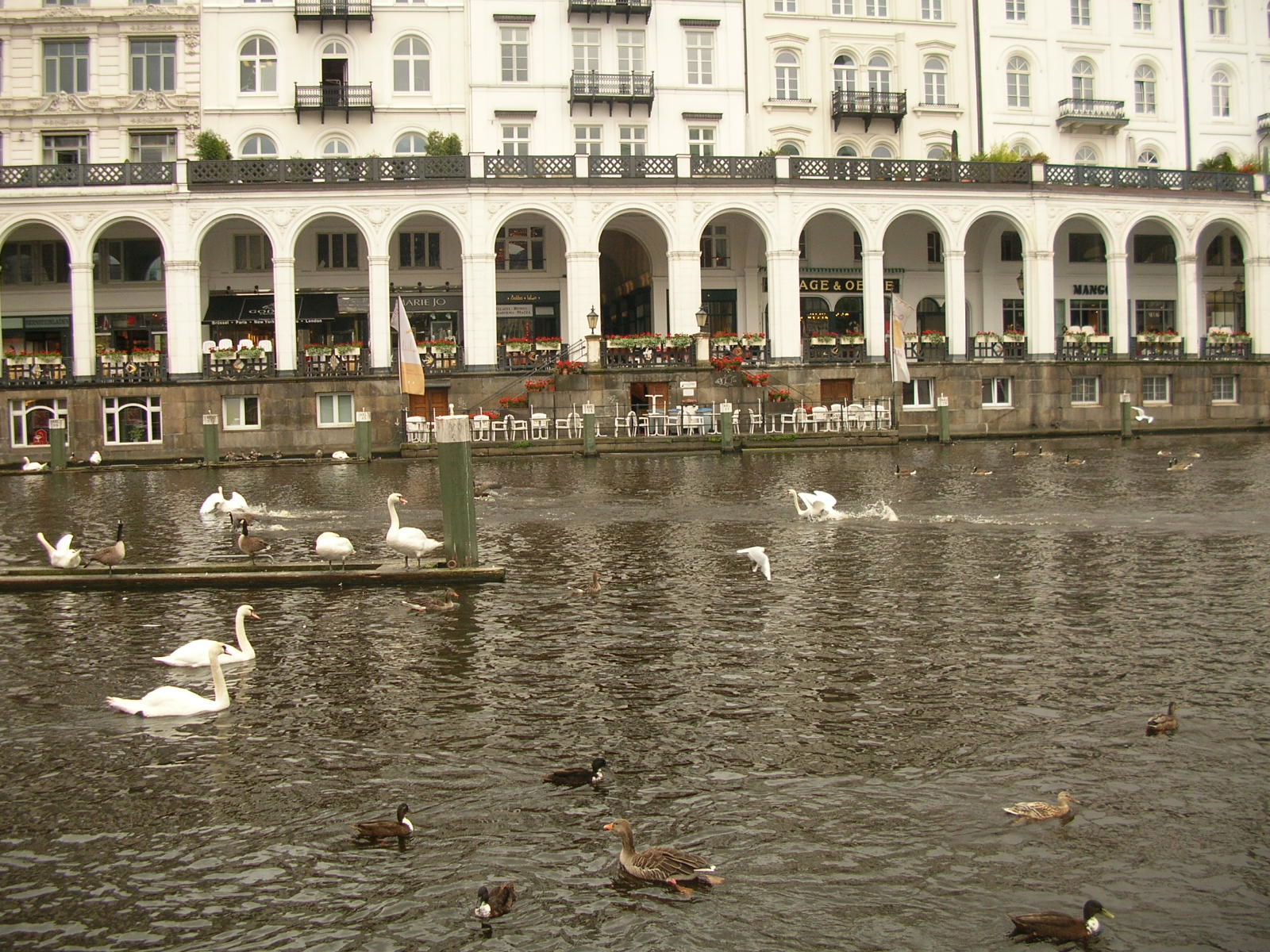 Pequeño Alster - Binnenalster, por malclown
