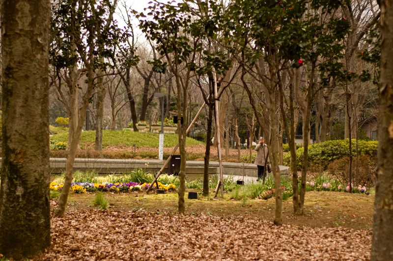 Parque Central de Shinjuku, por Sebastian Muñoz