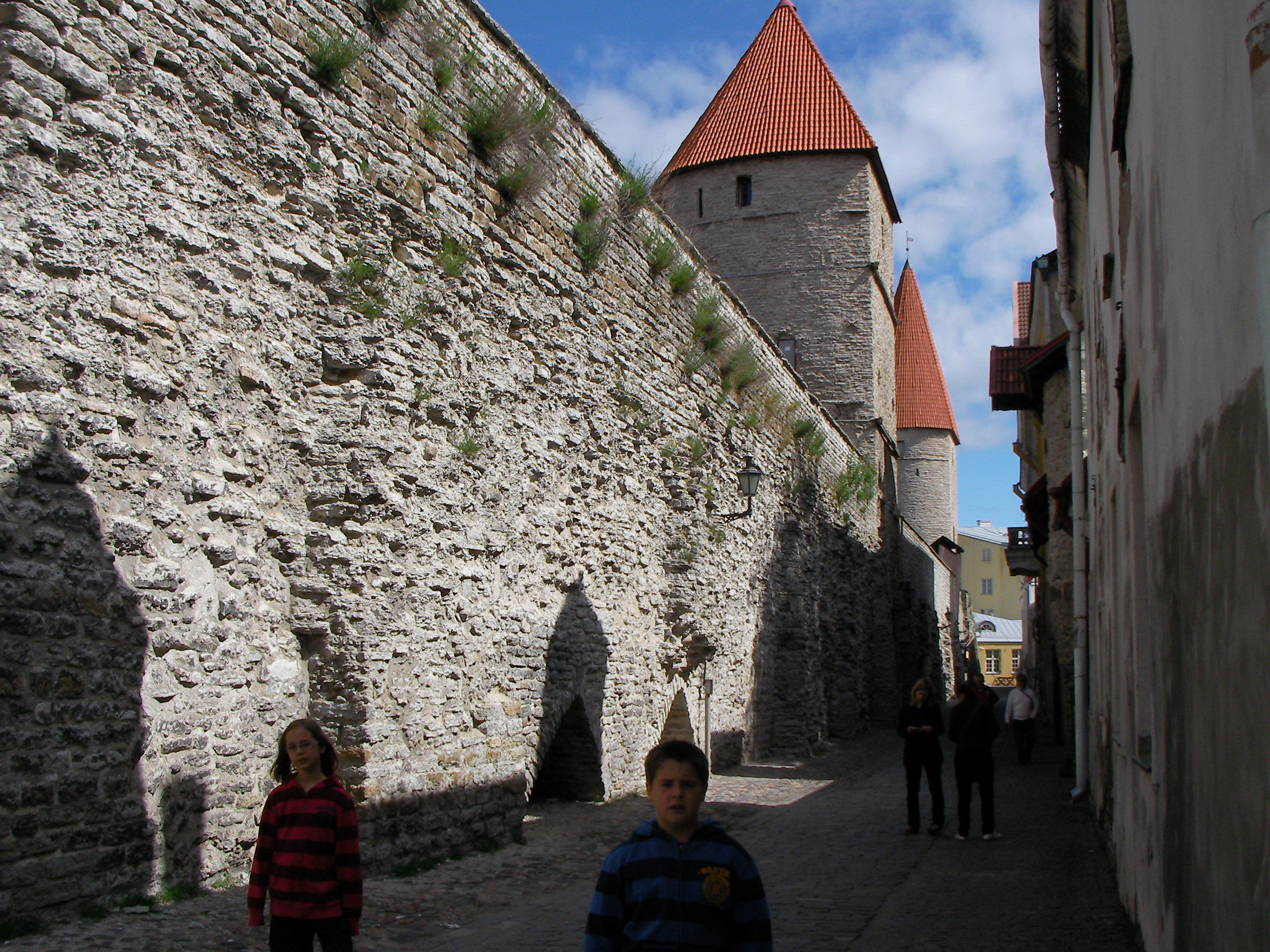 Castillo toompea, por Héctor mibauldeblogs.com