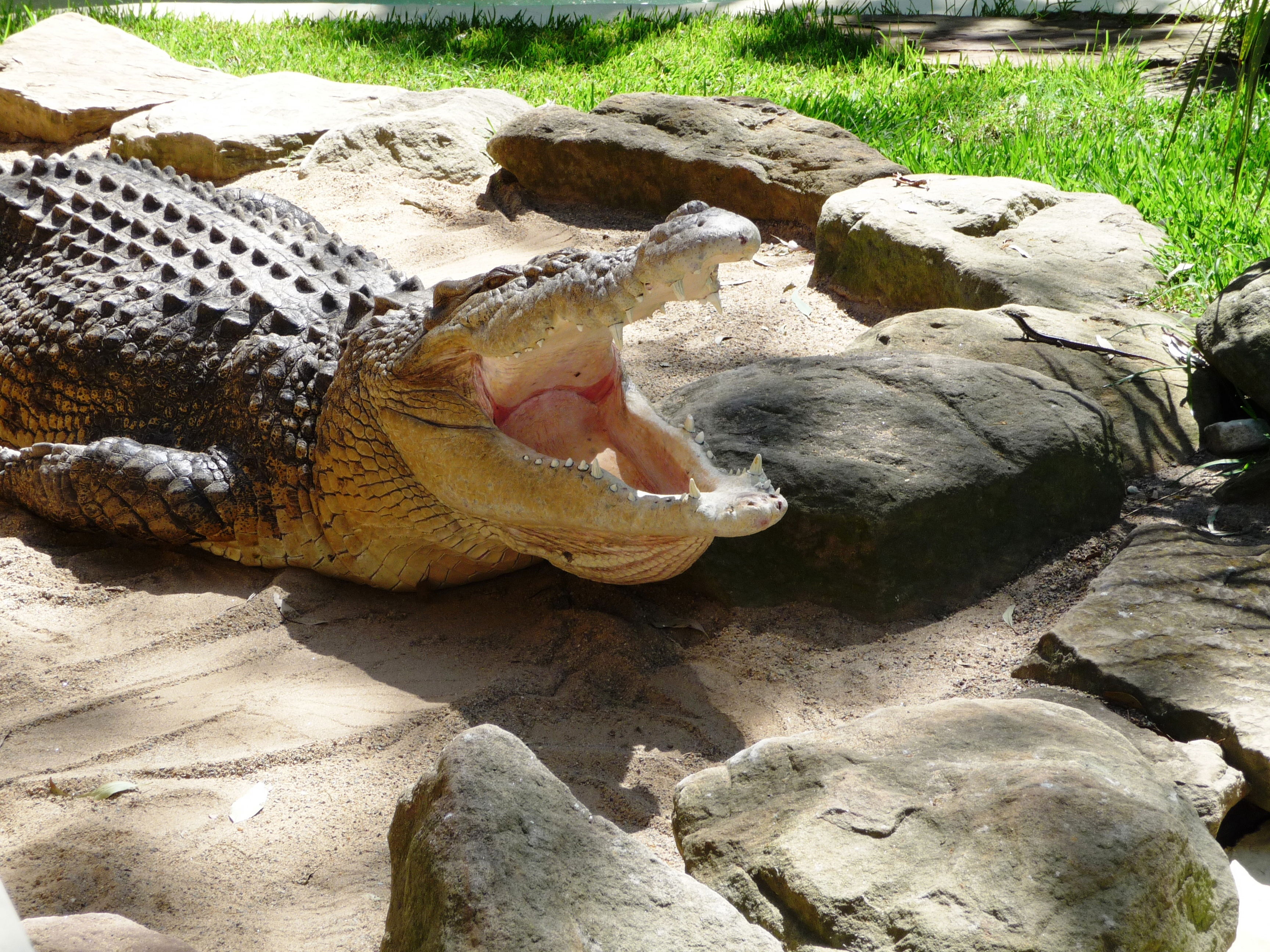 Zoo Featherdale Wildlife Park, por Marine