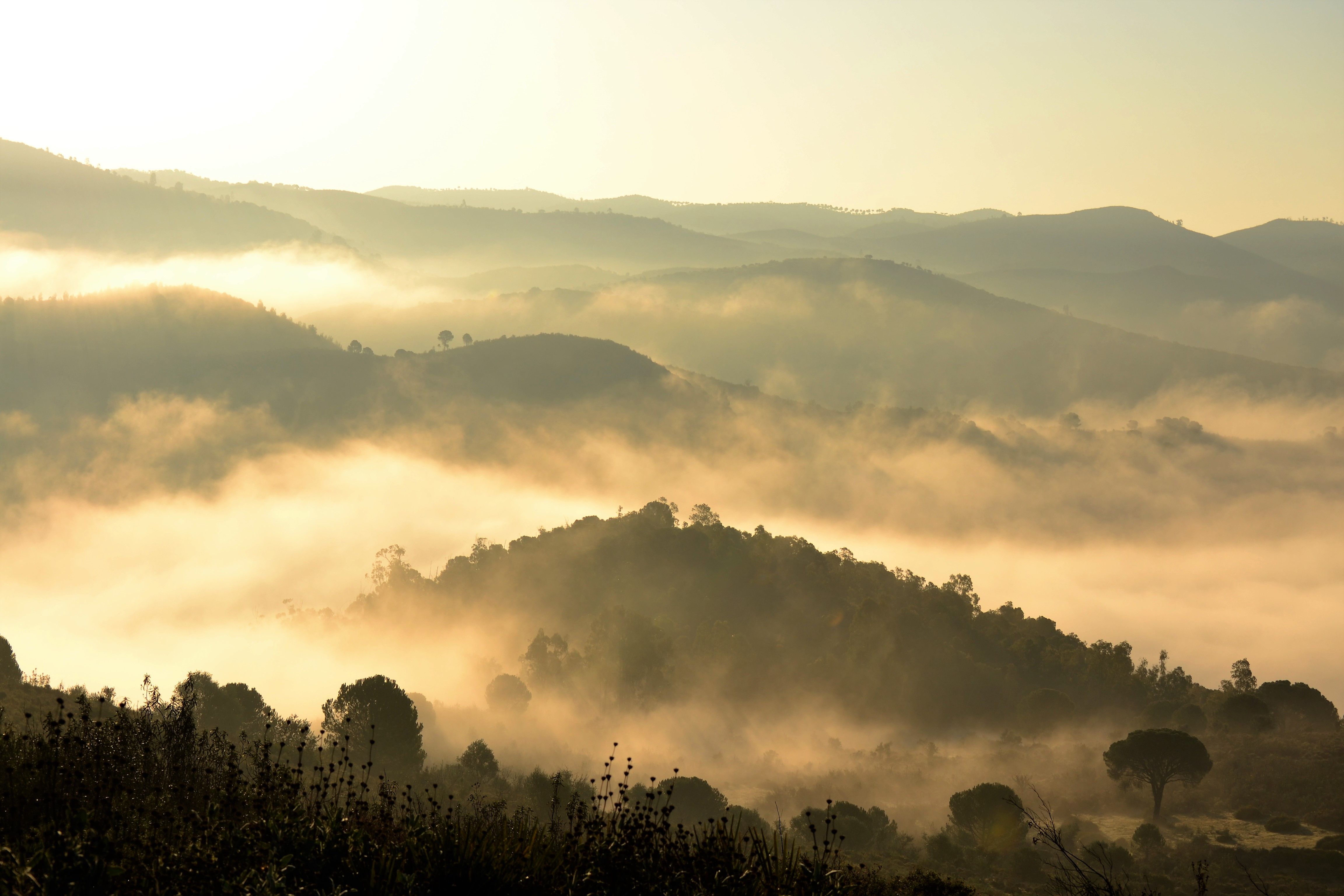 Valles en Andalucía: belleza natural y tesoros por descubrir