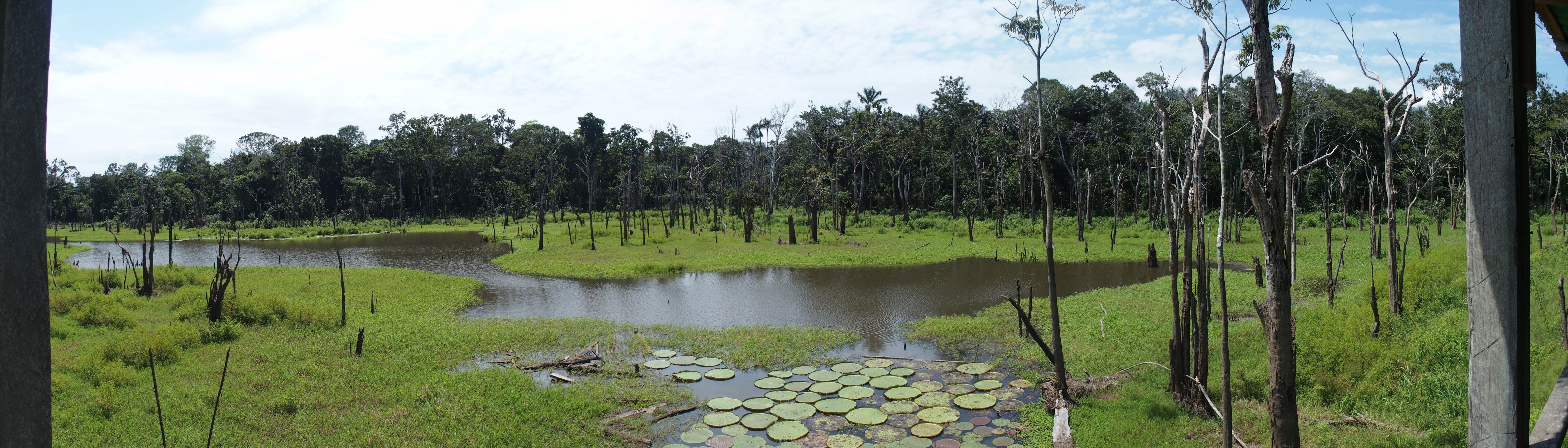 Reservas naturales de Amazonas, un paraíso por descubrir