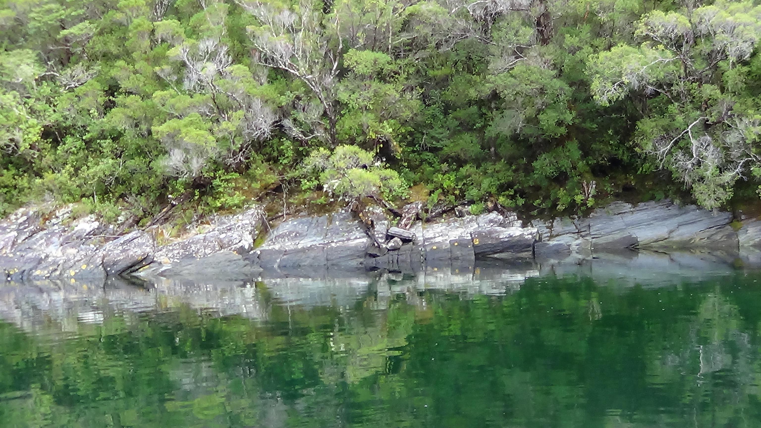 Rio del amor, por Francisca Hapette