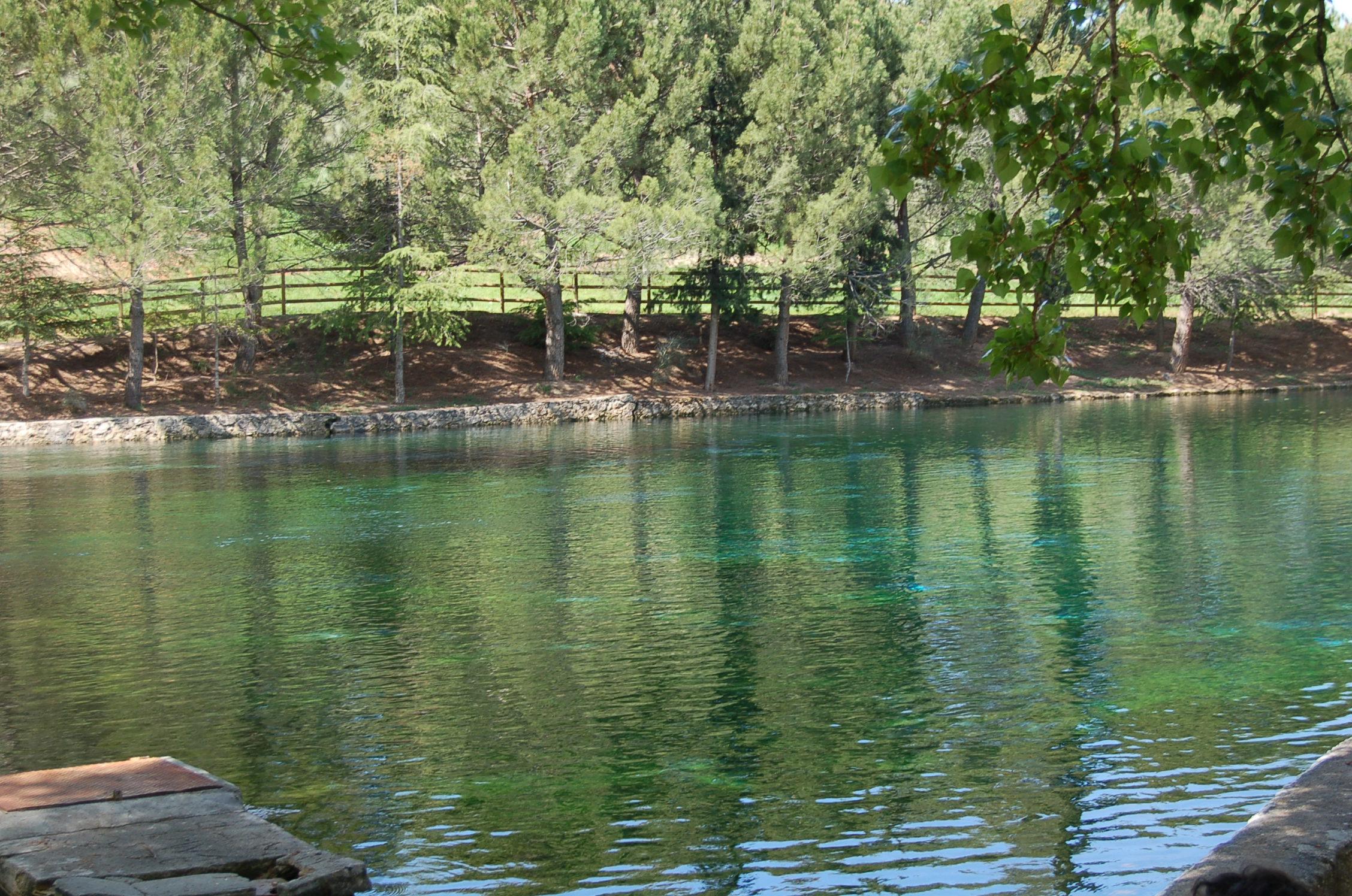 Nacimiento del Río Arbuniel en Arbuniel (Jaén), por Mª Ángeles Cayuela Hernández
