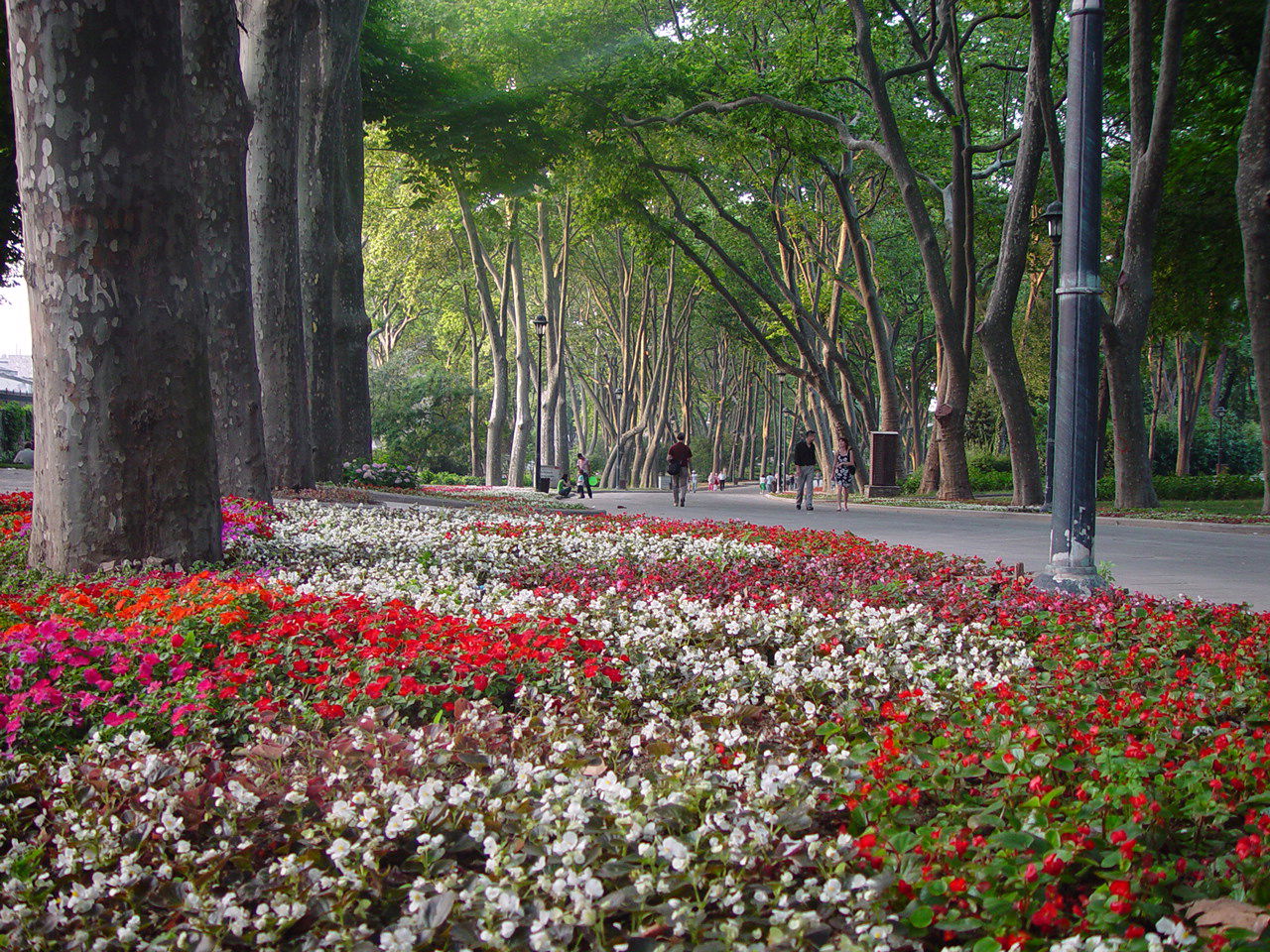 Parque Gülhane, por DavidMM