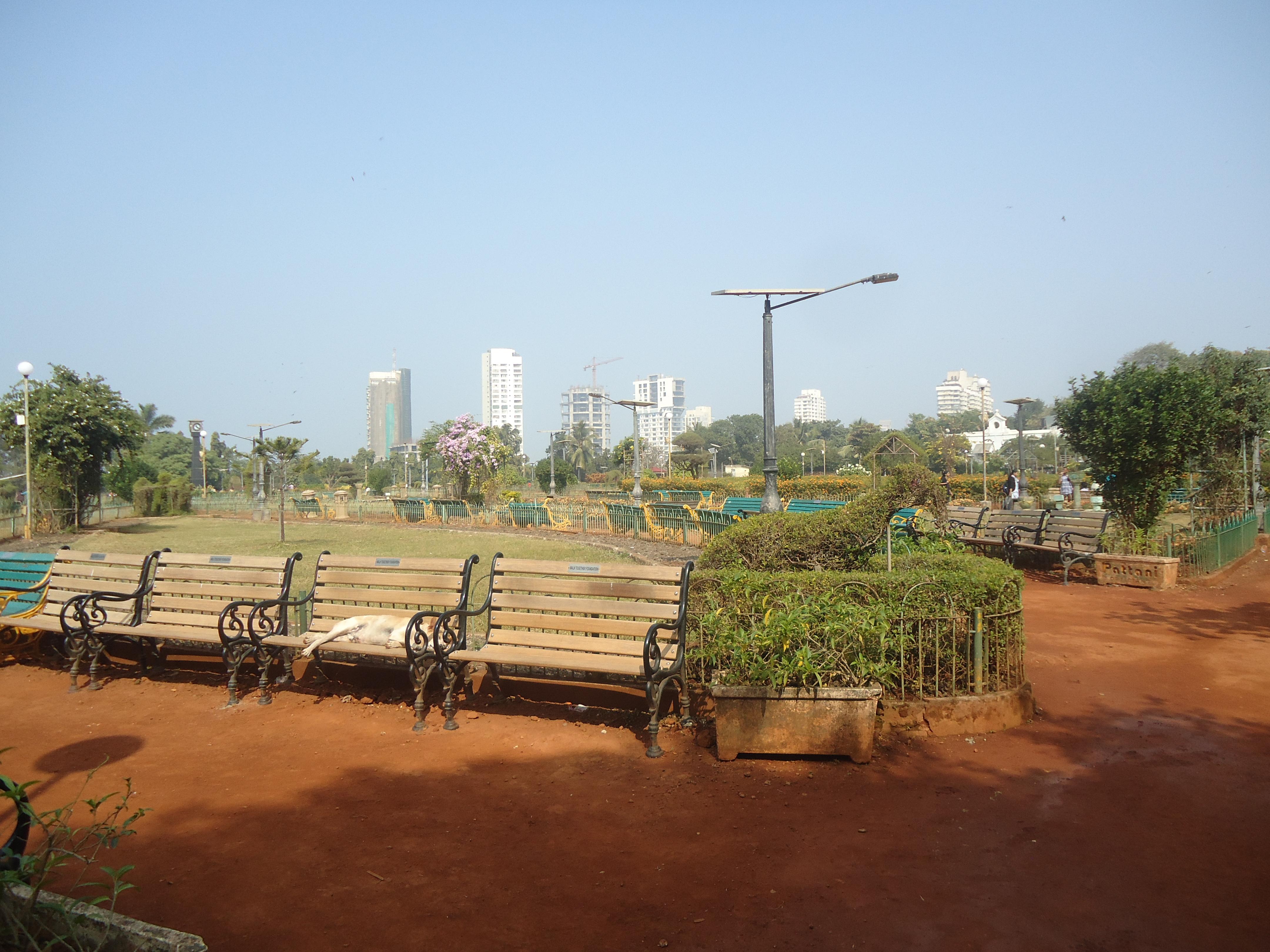 Jardines en India: belleza y serenidad en paisajes inolvidables