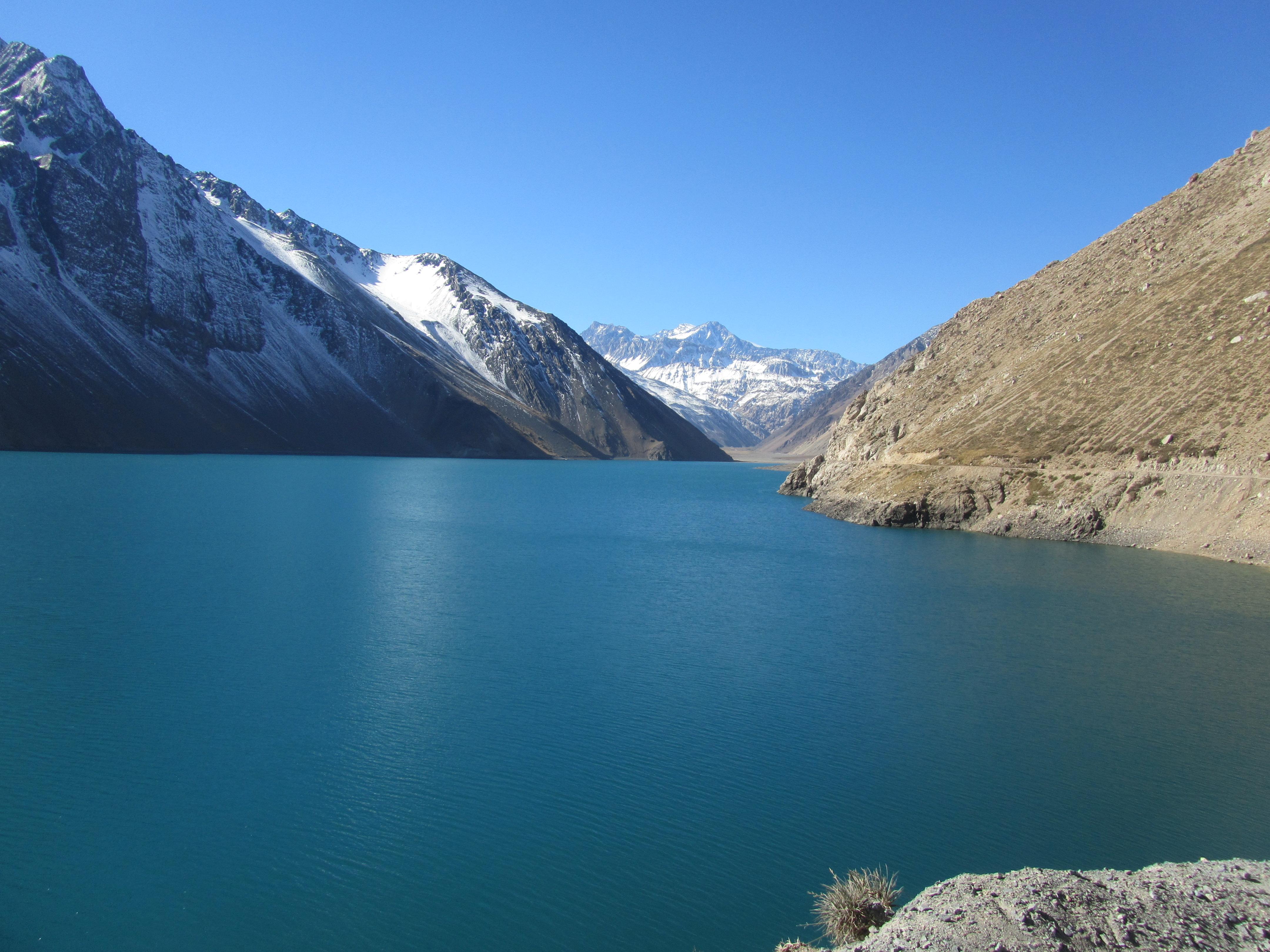 Pantanos en Chile: ecosistemas ocultos llenos de vida y belleza