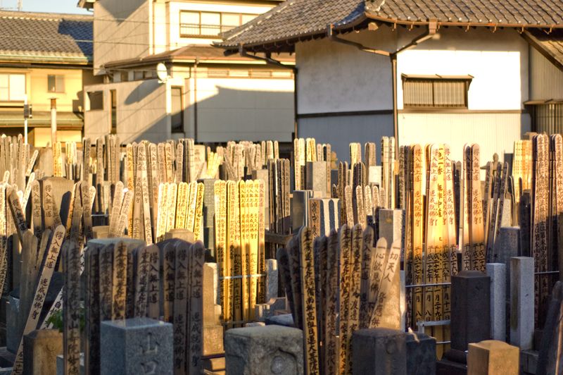 Cementerio Myohoji, por Sebastian Muñoz