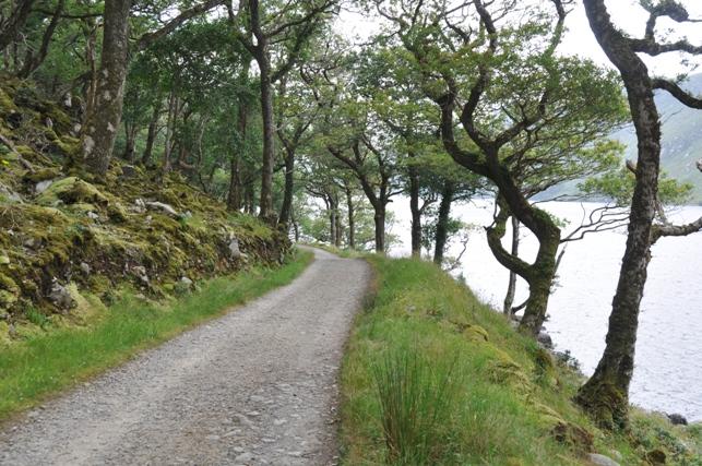 Parque nacional de Glenveagh, por albertoloyo