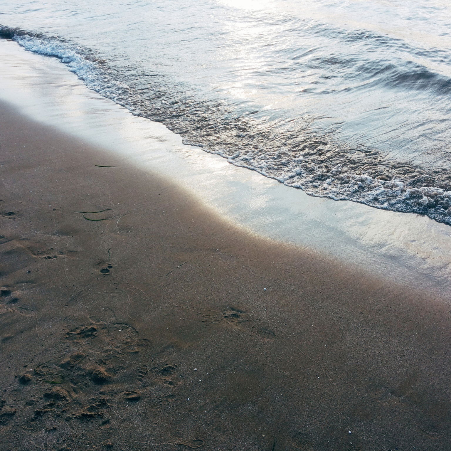 Bahía de Manaccora, por Daniela Greco